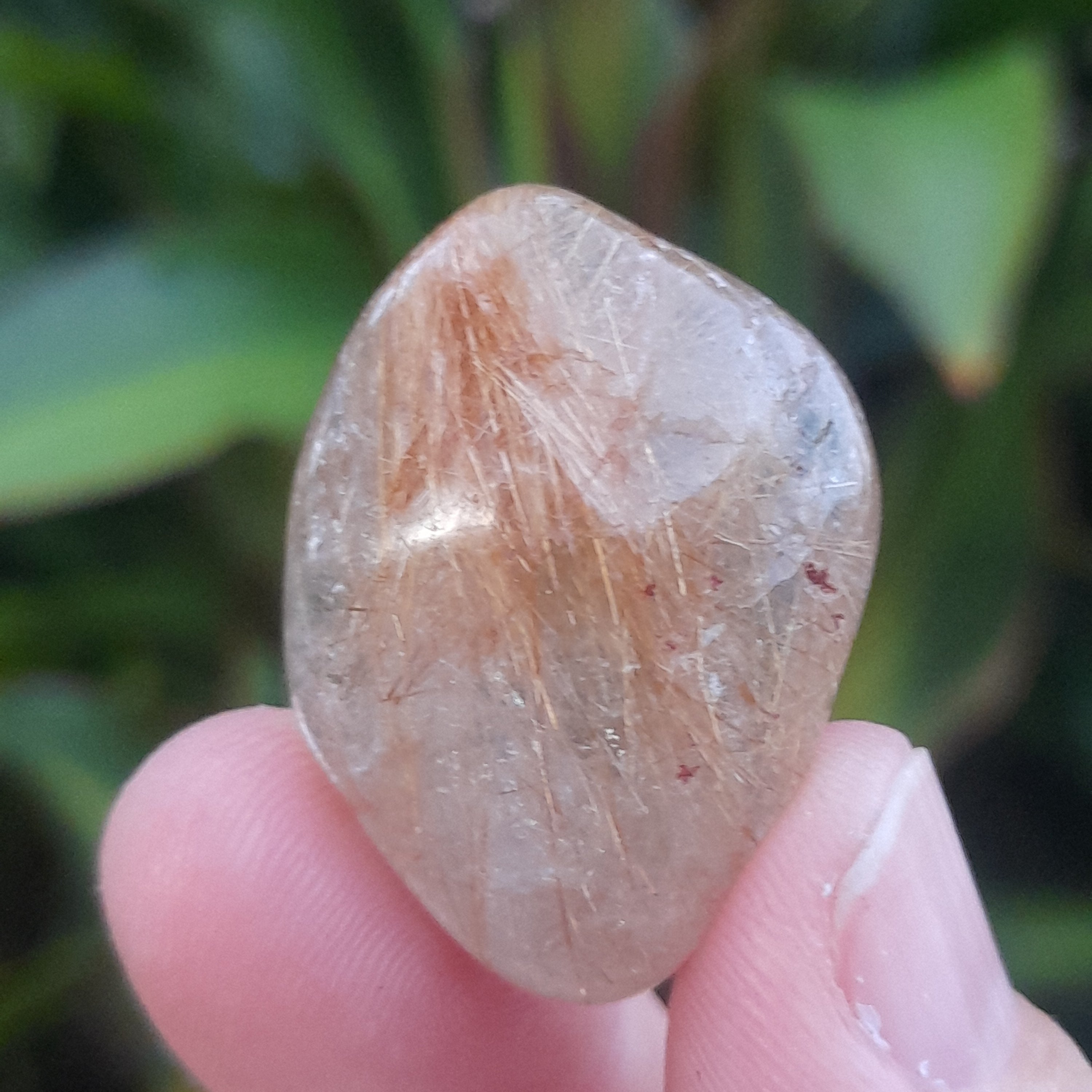 Rutilated Quartz