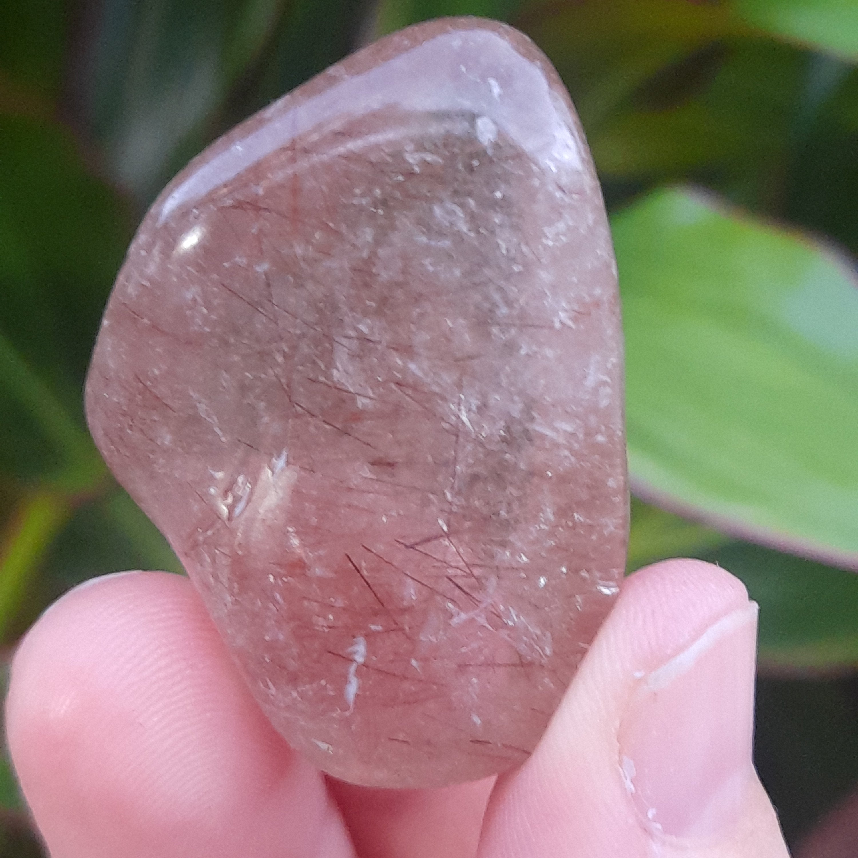 Rutilated Quartz
