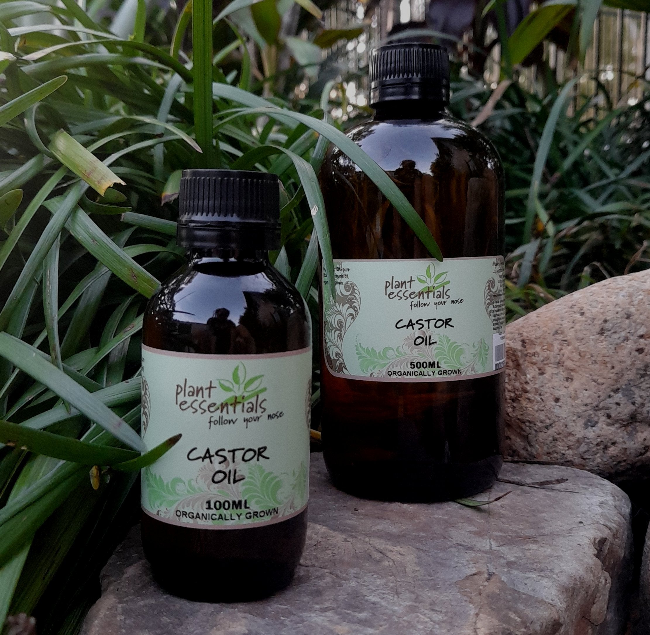Castor Oil, hexane free, organically grown