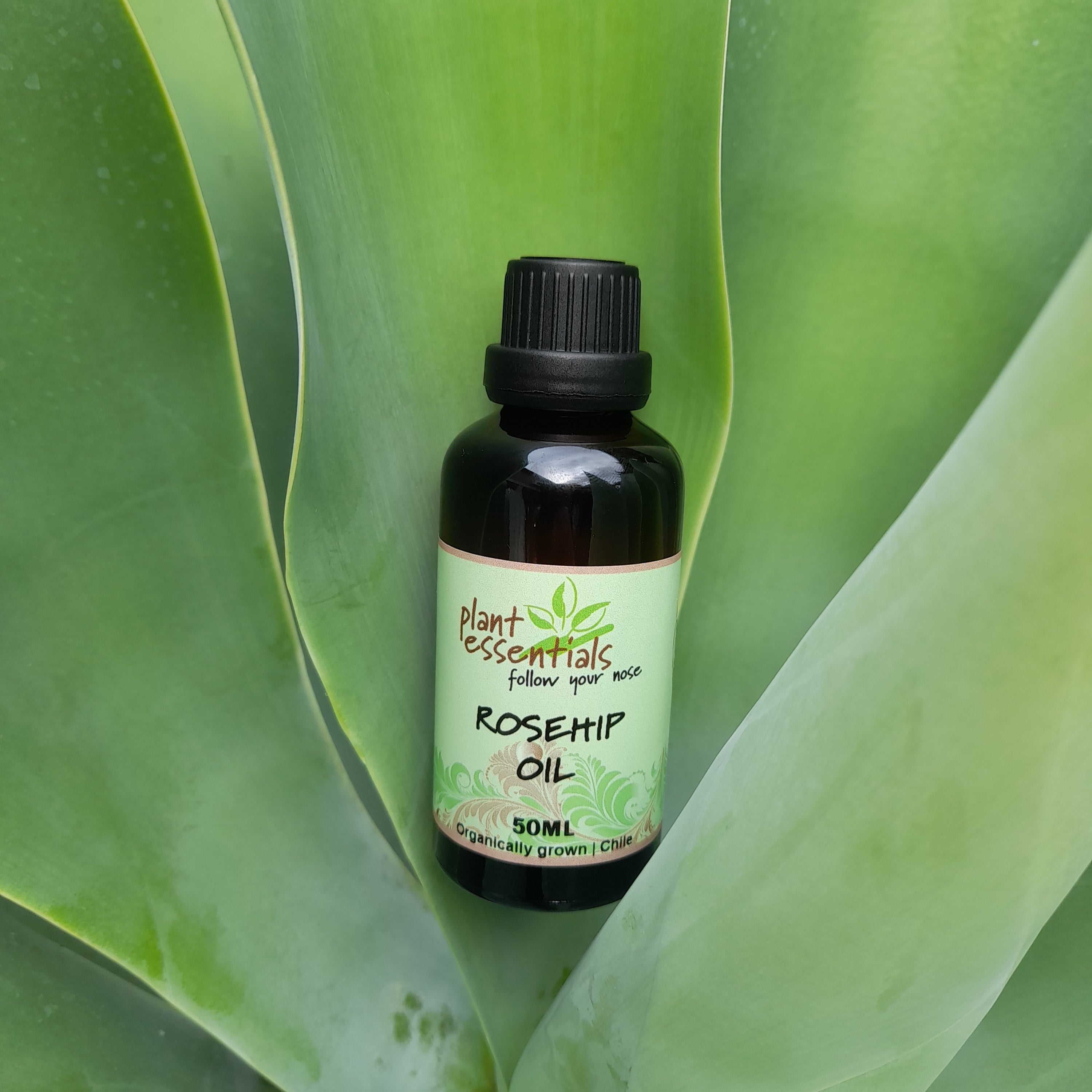 Rosehip Oil 50ml