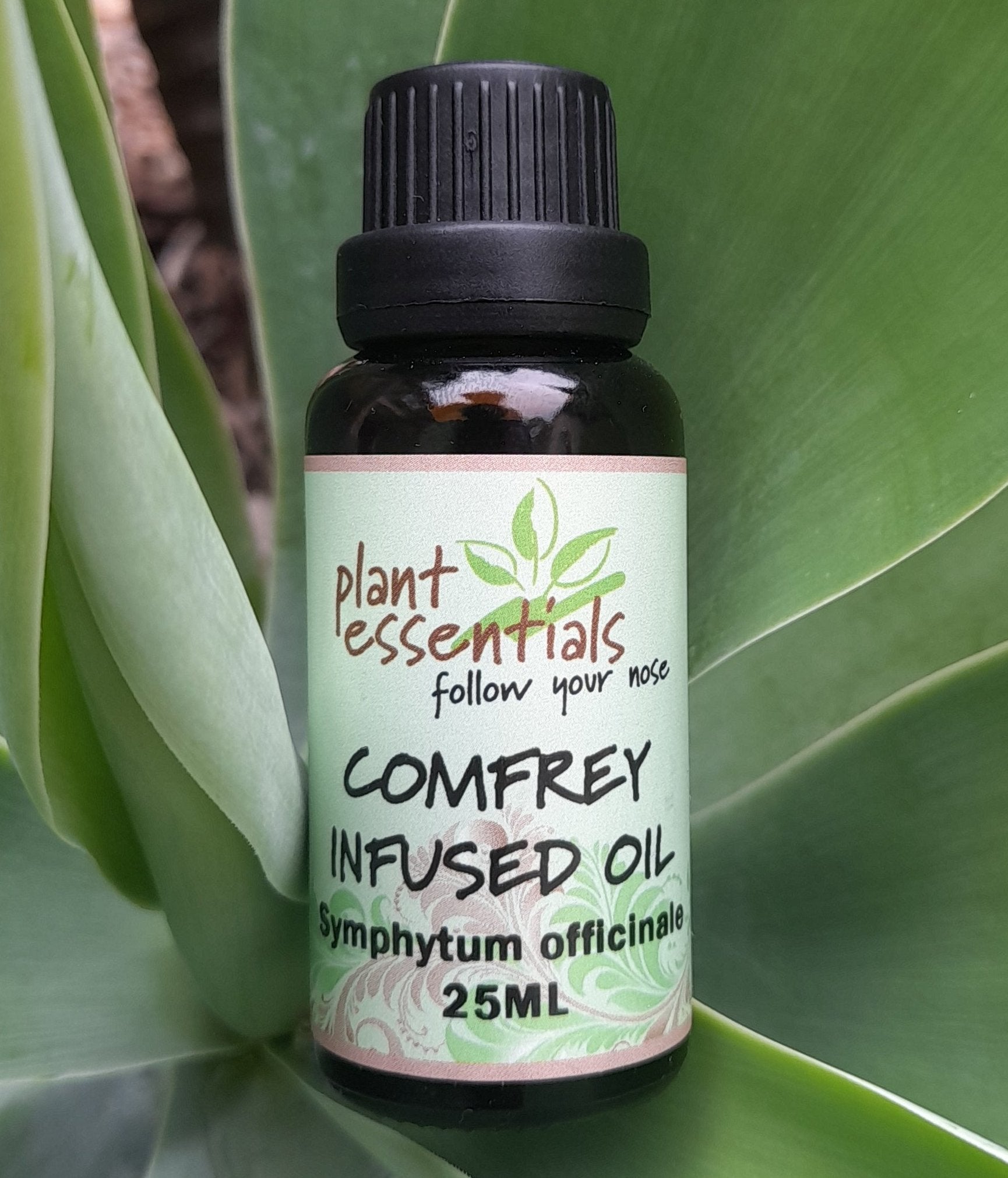 Comfrey Infused Oil 30ml
