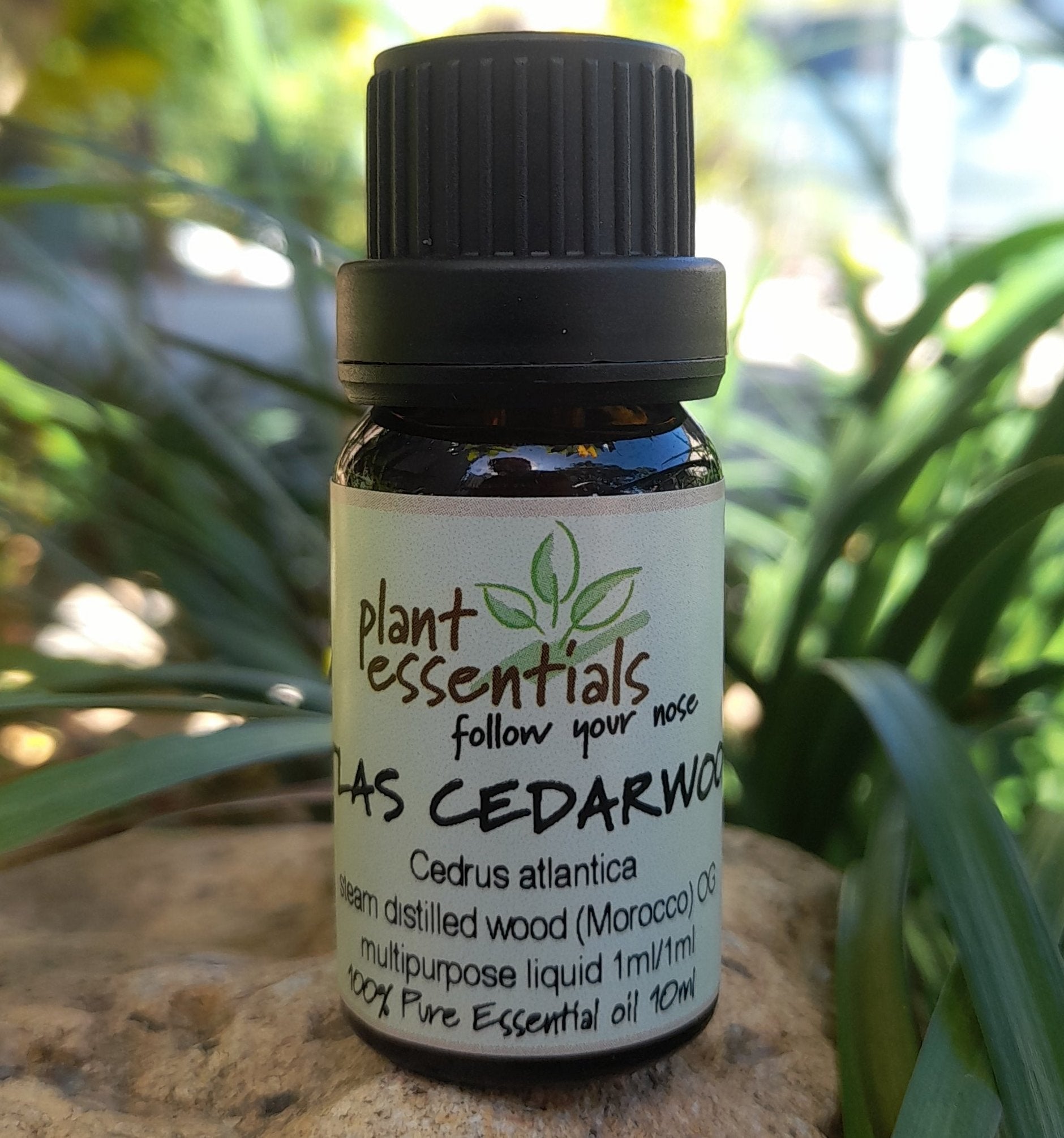 Cedarwood Atlas Essential Oil 10ml