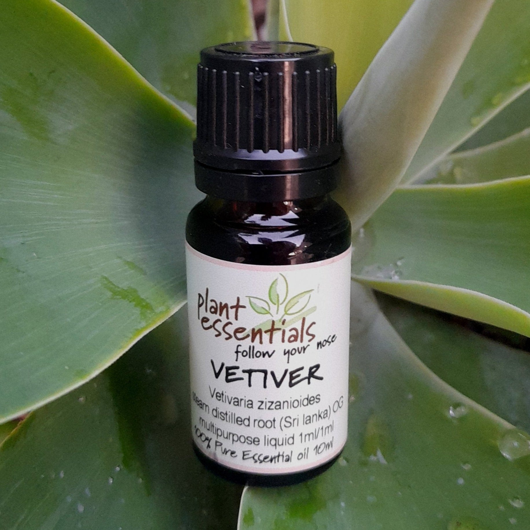 Vetiver Essential Oil