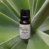 Lemon Essential Oil