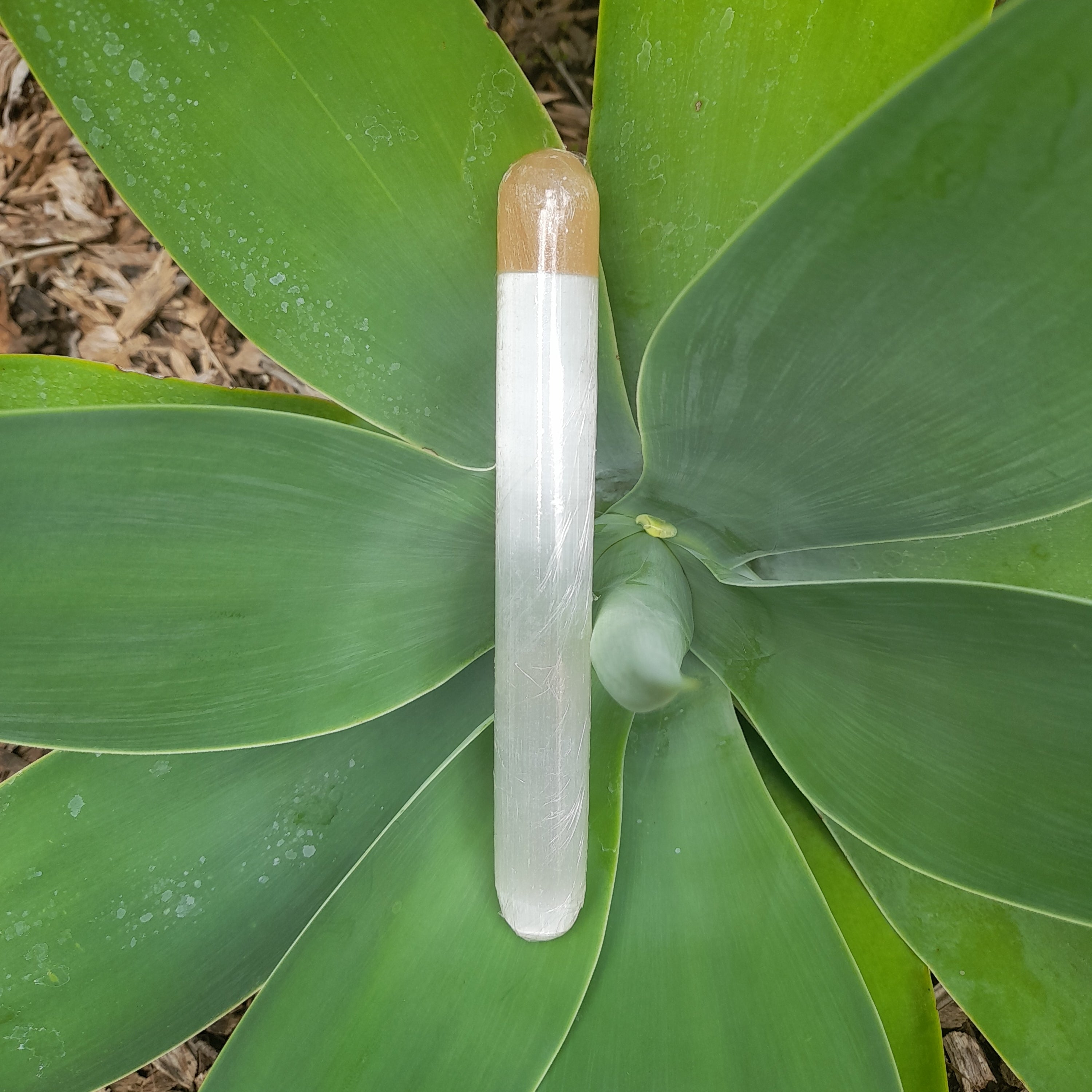 Selenite (Satin Spar) Wand