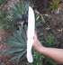 Selenite (Satin Spar) Knife, large
