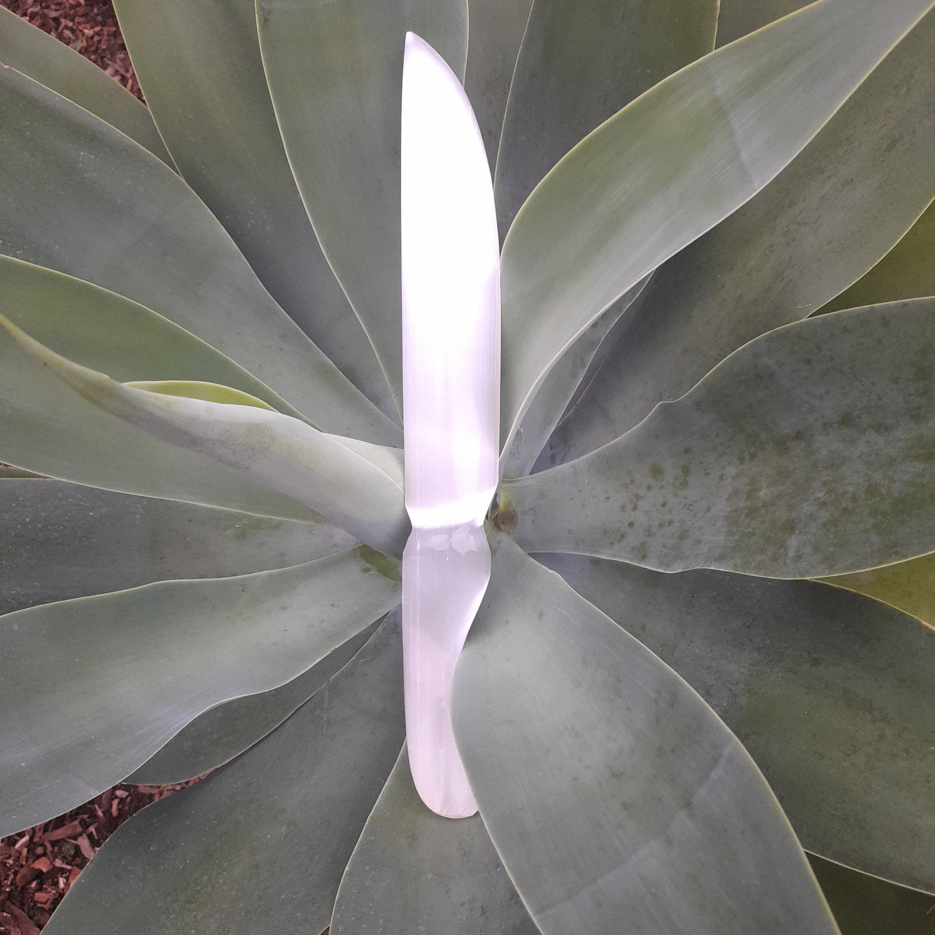 Selenite (Satin Spar) Knife, large
