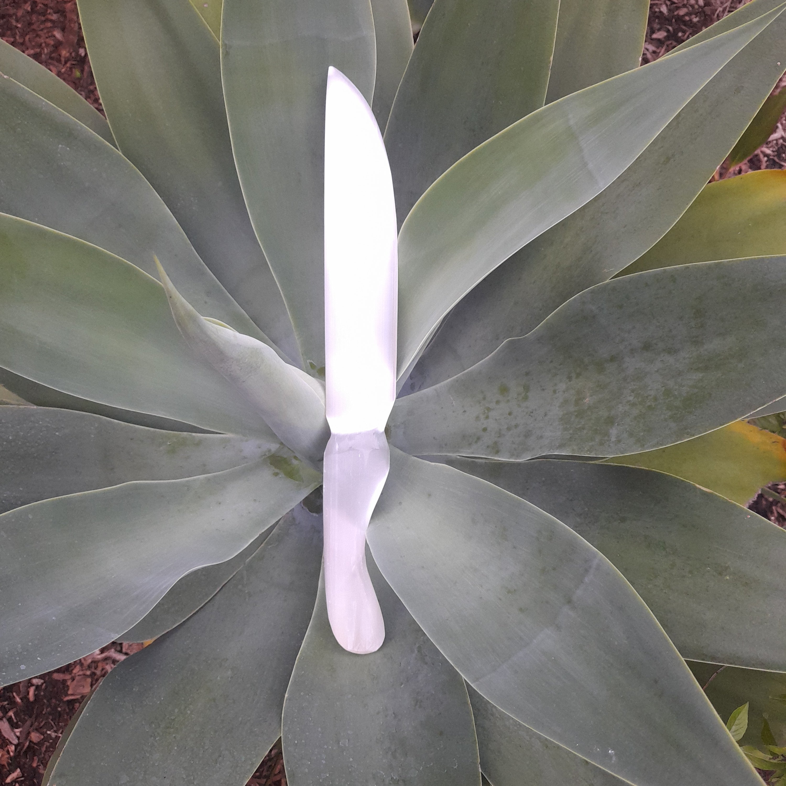 Selenite (Satin Spar) Knife, large