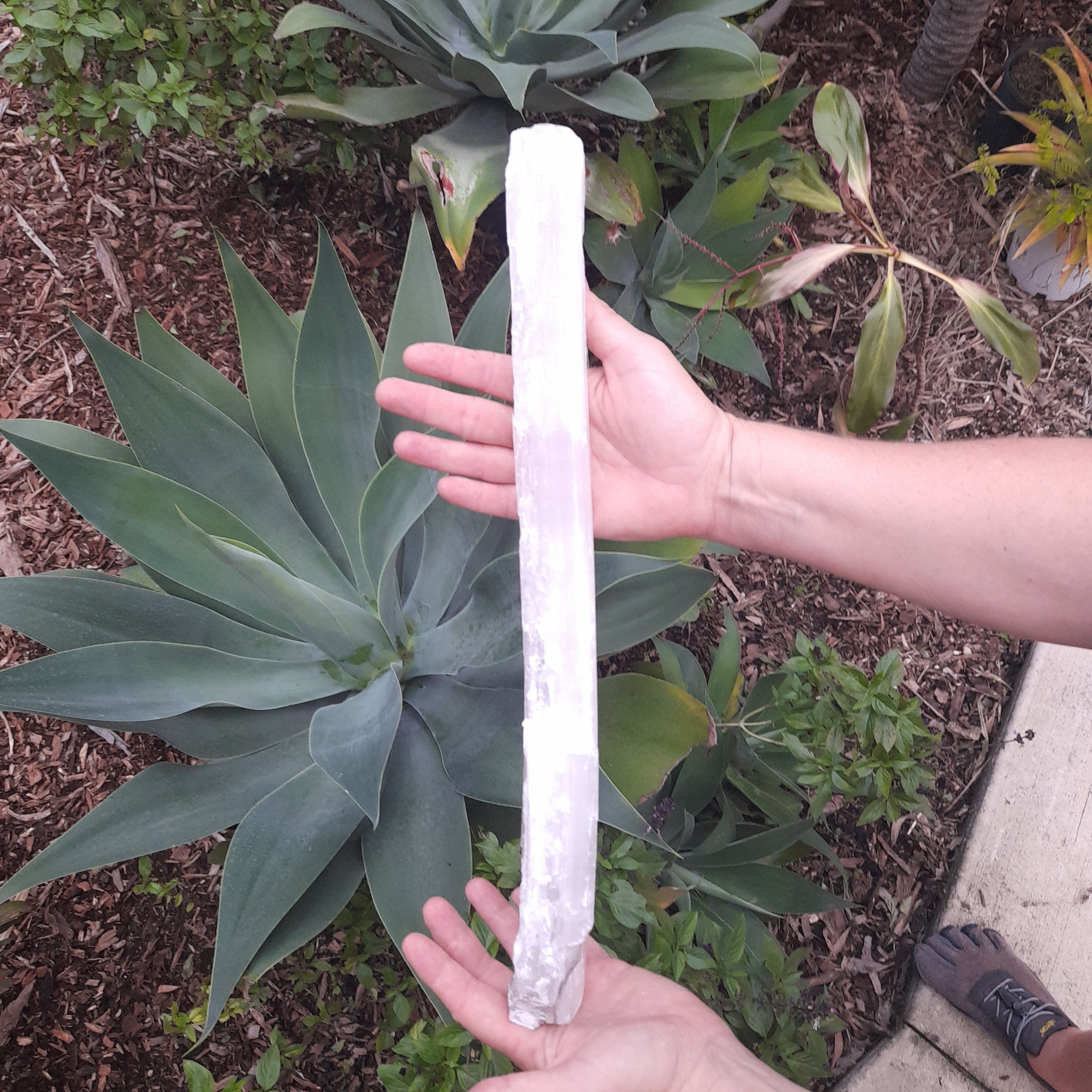 Selenite (Satin Spar) Natural Stick 1.2Kg - last one!