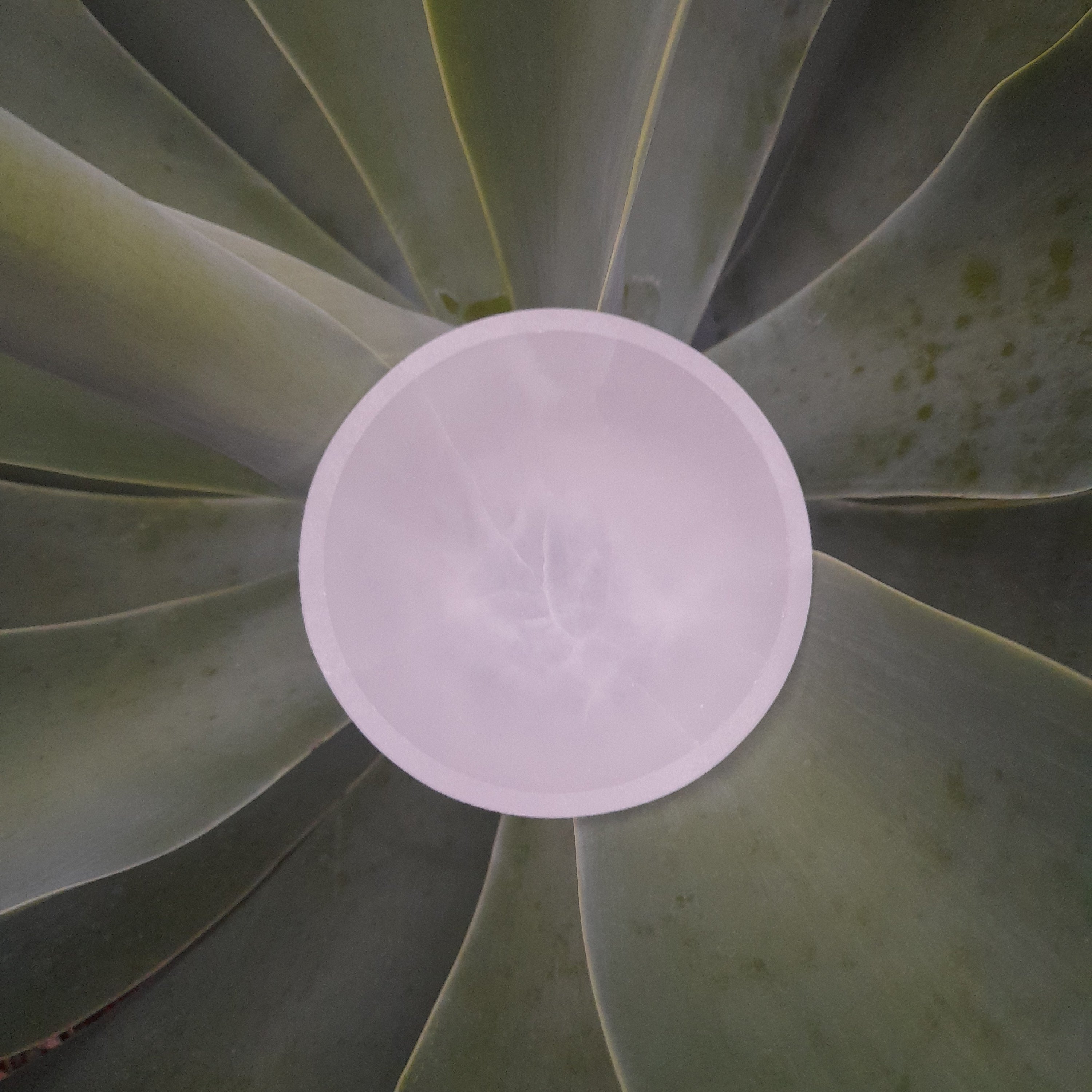 Selenite (Satin Spar) bowl 10cm
