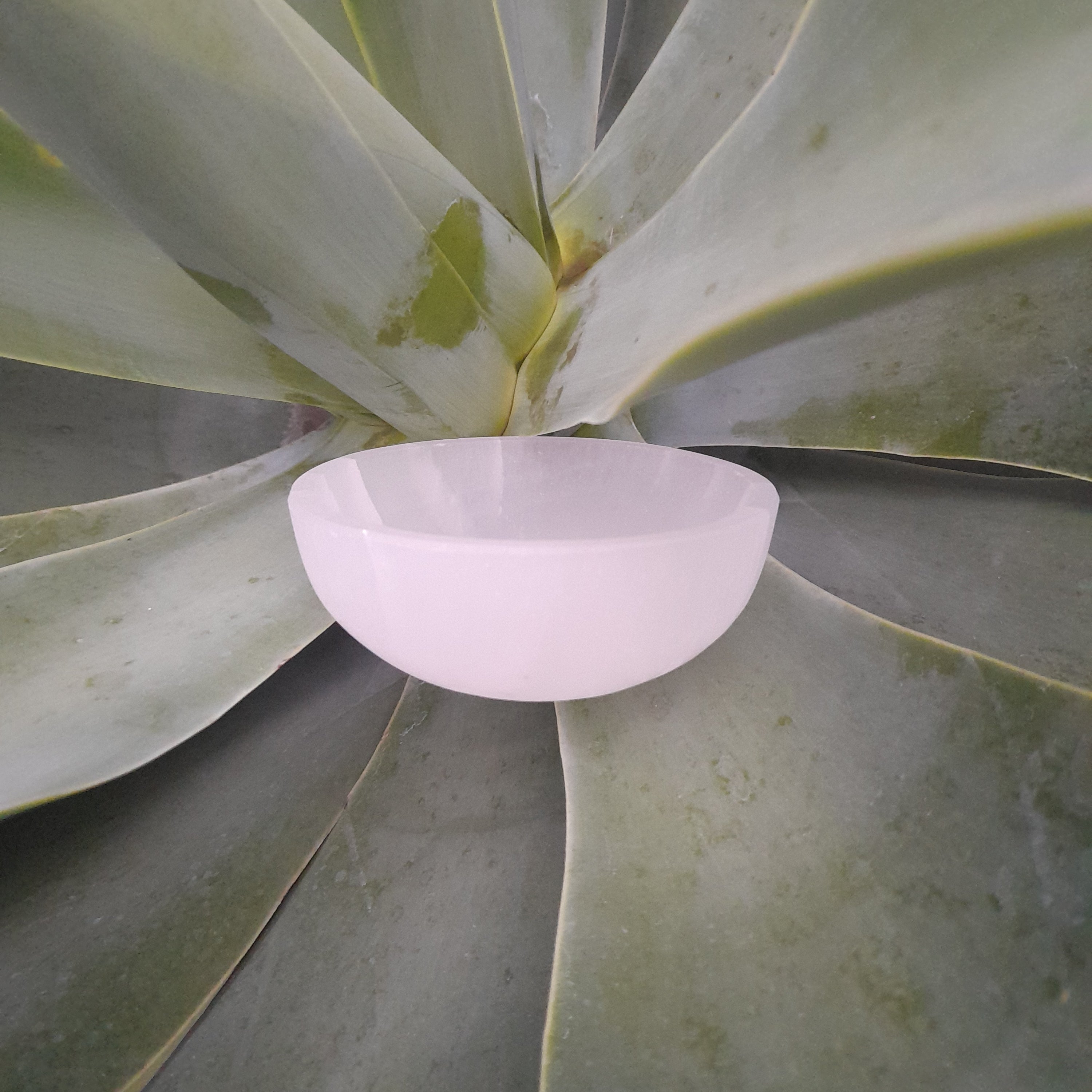 Selenite (Satin Spar) bowl 10cm