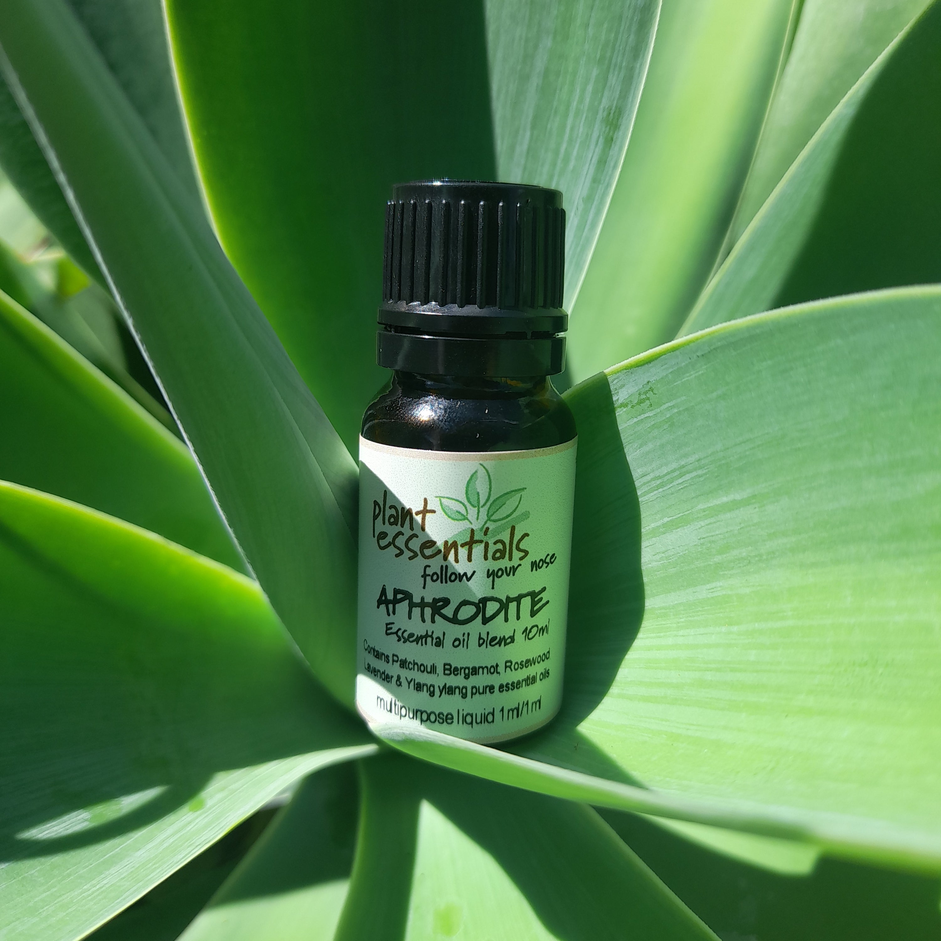 Aphrodite Essential Oil Blend