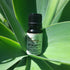 Aphrodite Essential Oil Blend