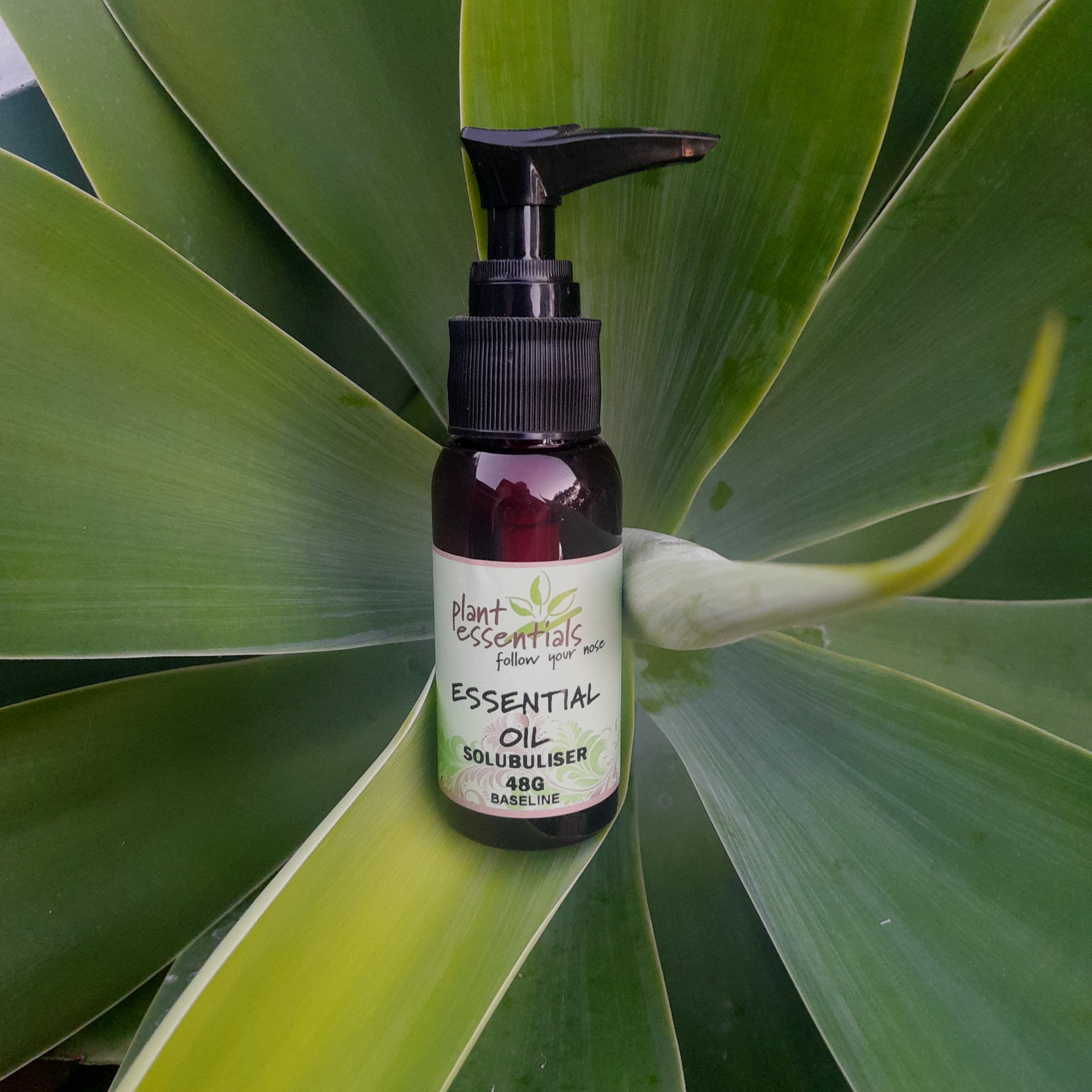 Essential Oil Solubuliser 48g/50ml