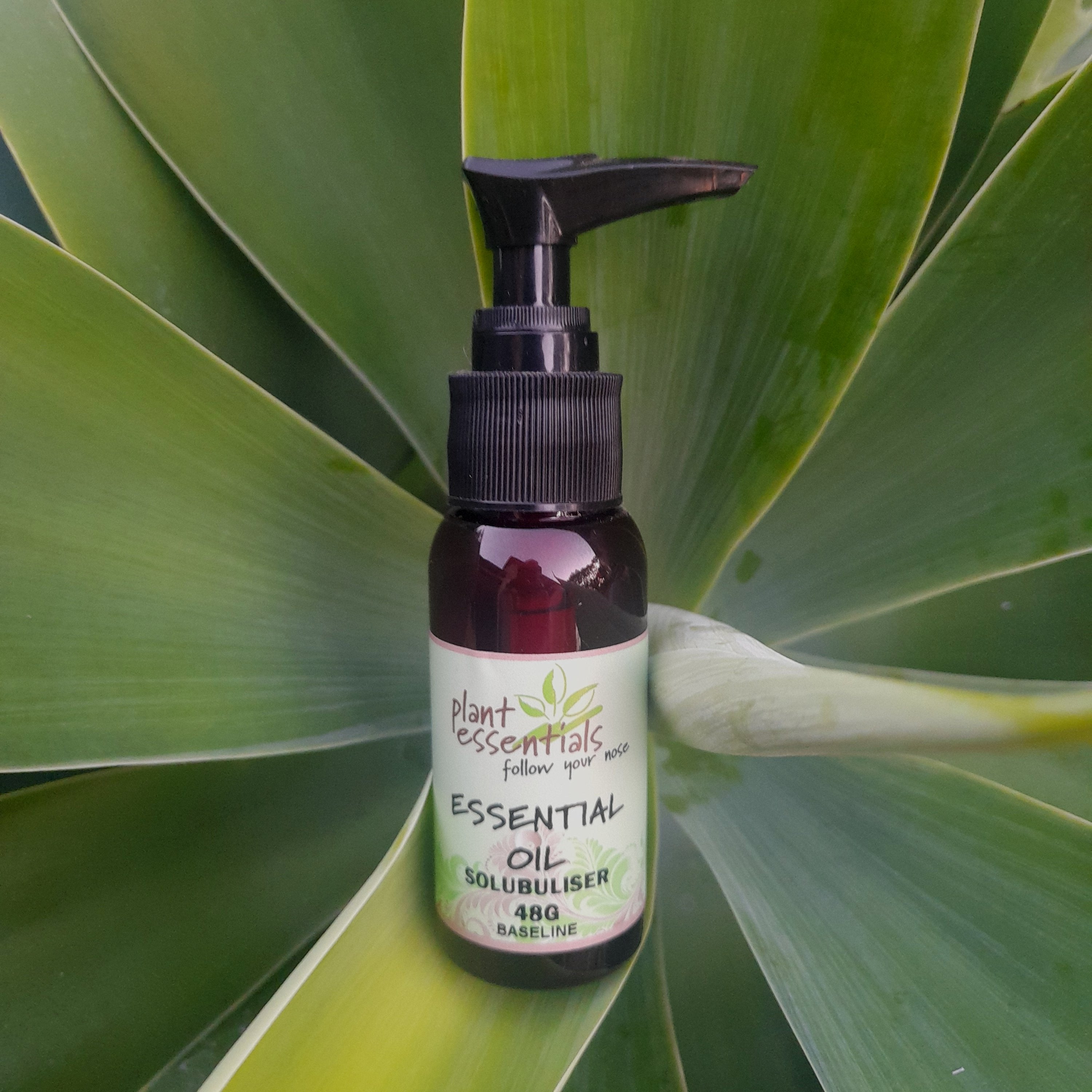 Essential Oil Solubuliser 48g/50ml