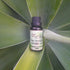 Pau Darco Infused Oil 30ml