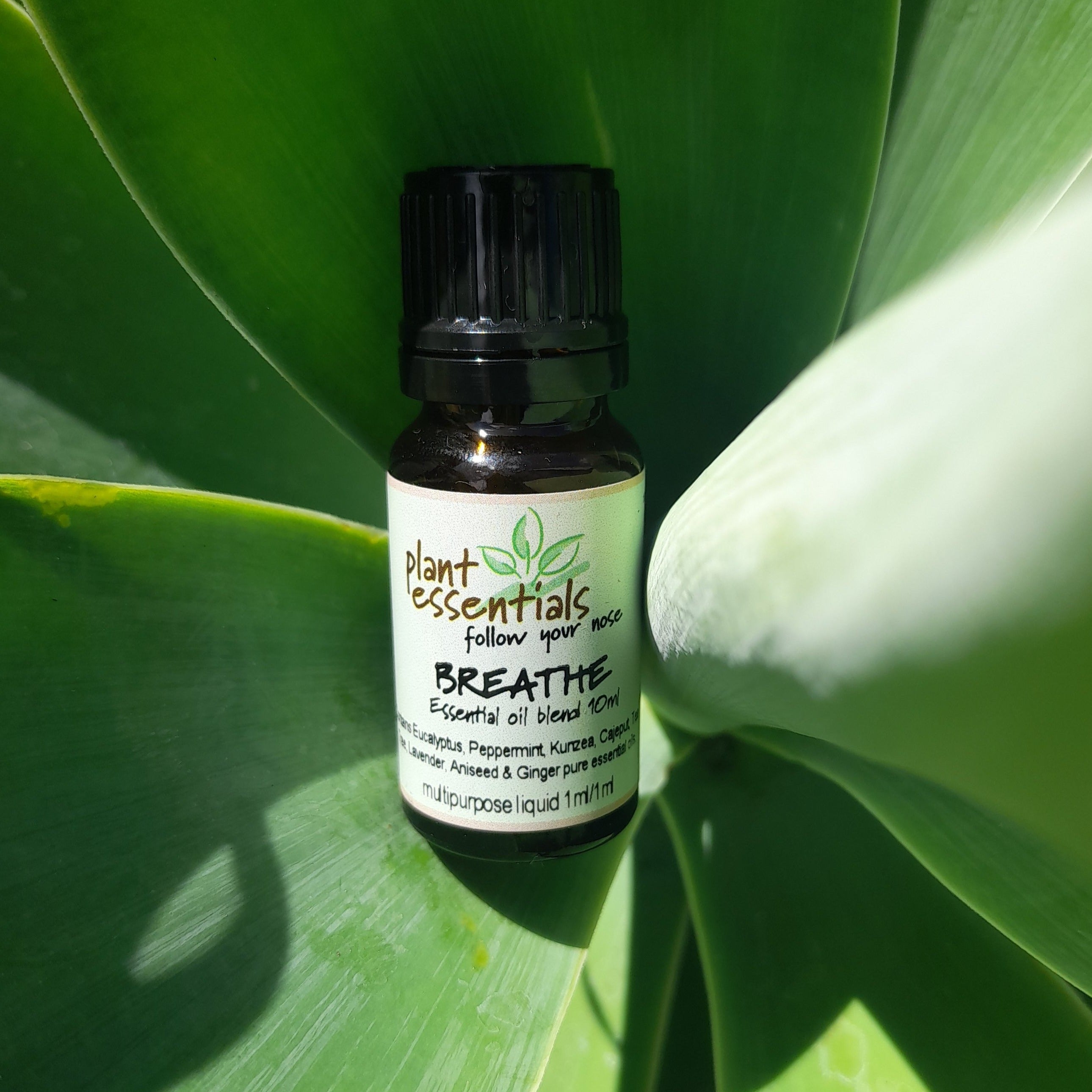Breathe Essential Oil Blend