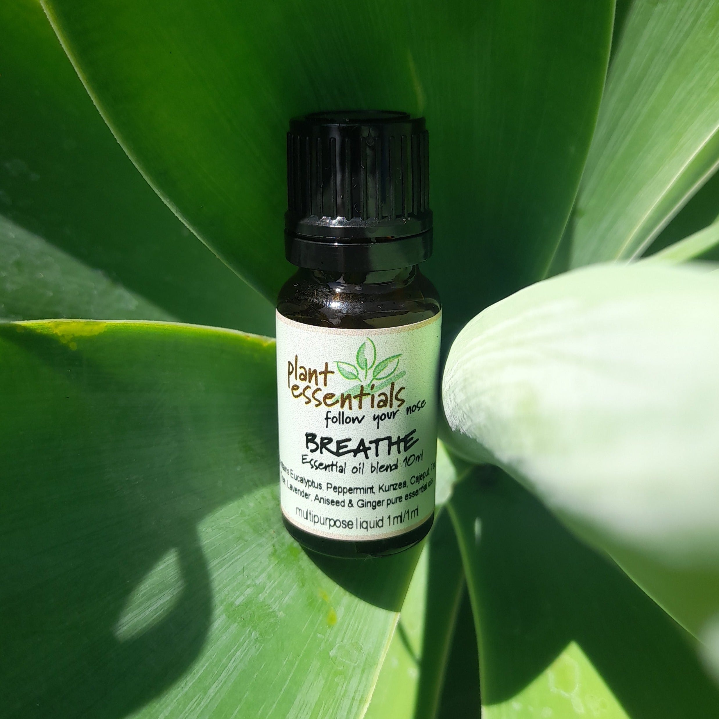 Breathe Essential Oil Blend