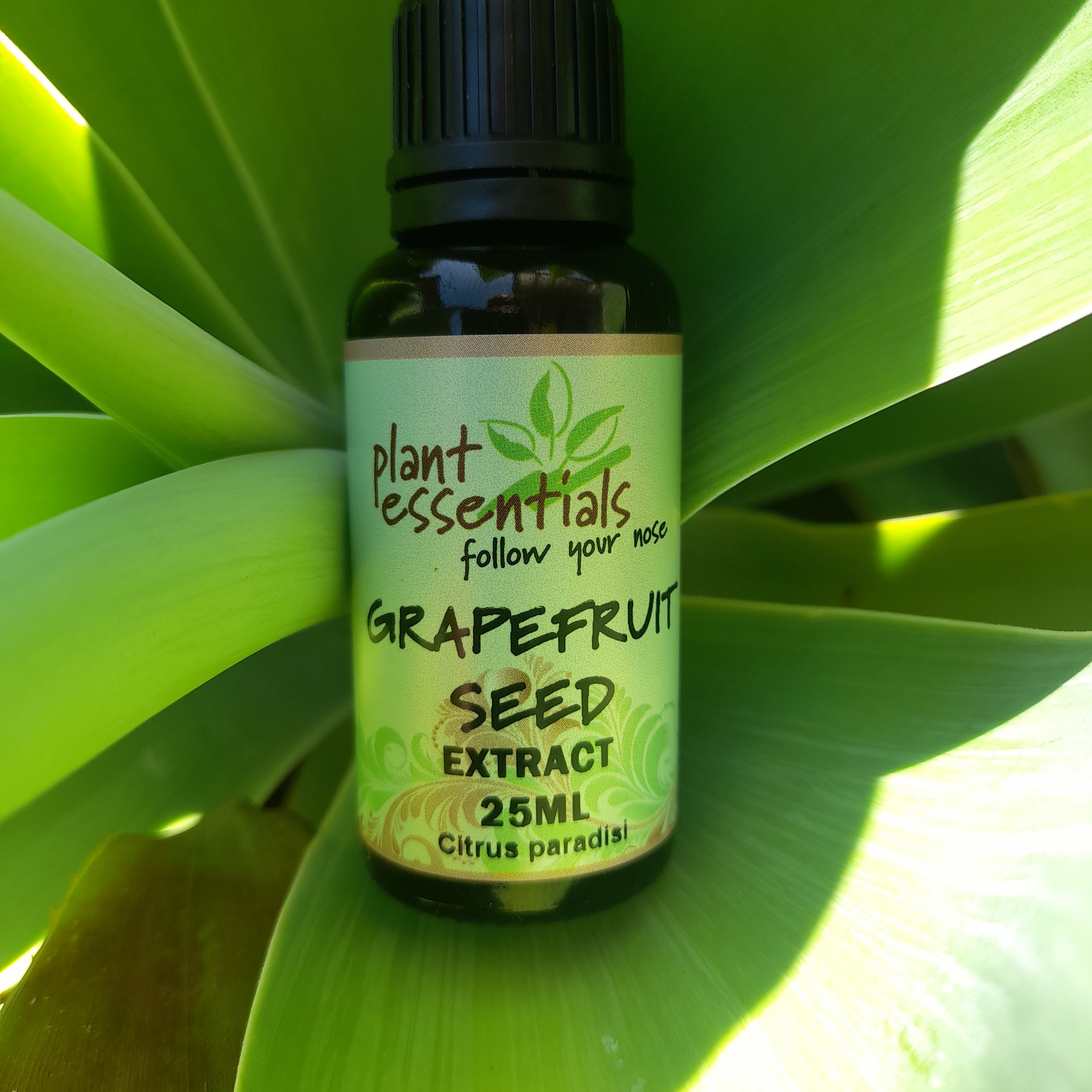 Grapefruit Seed Extract 30ml
