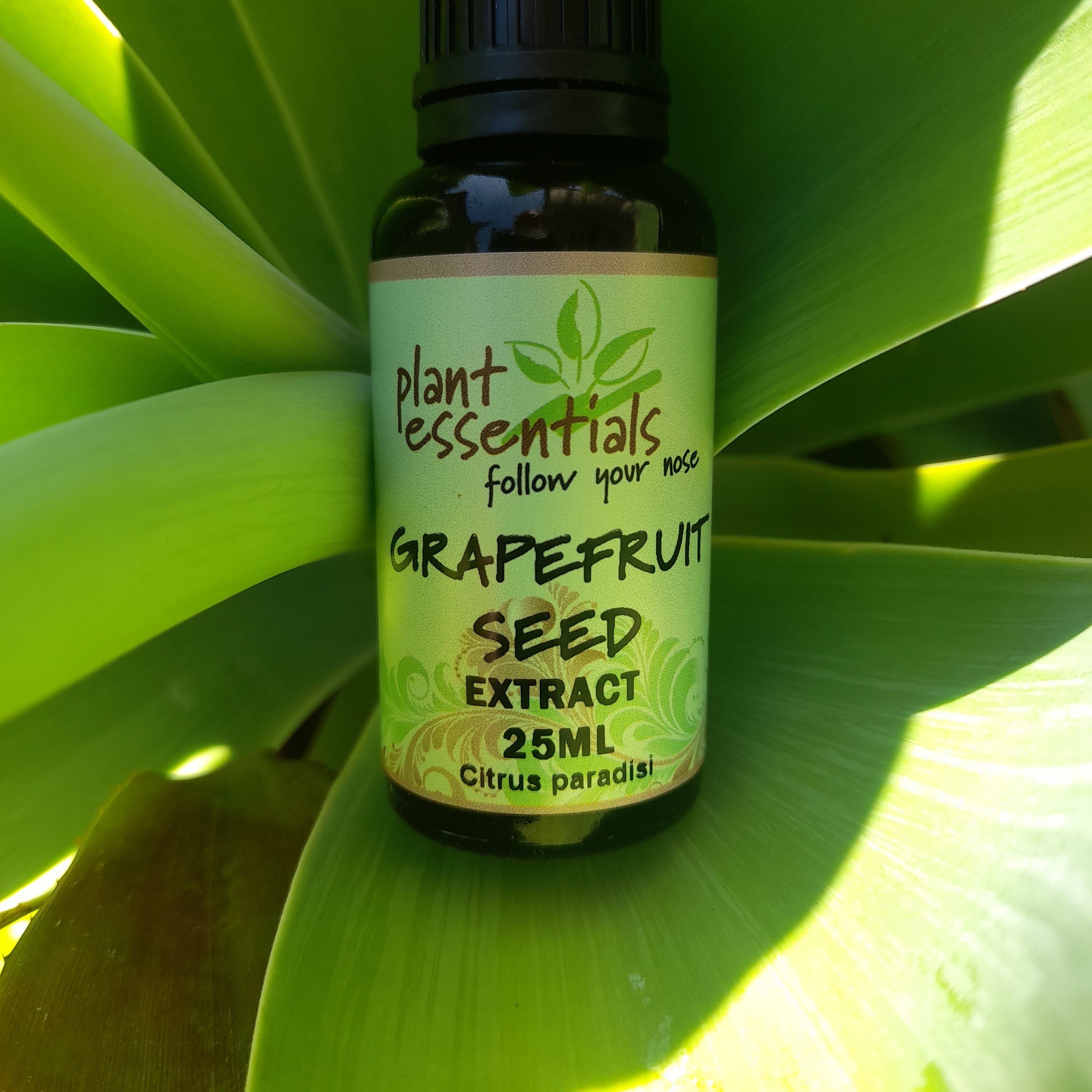 Grapefruit Seed Extract 30ml