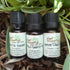 Energy Clear Essential Oil Trio