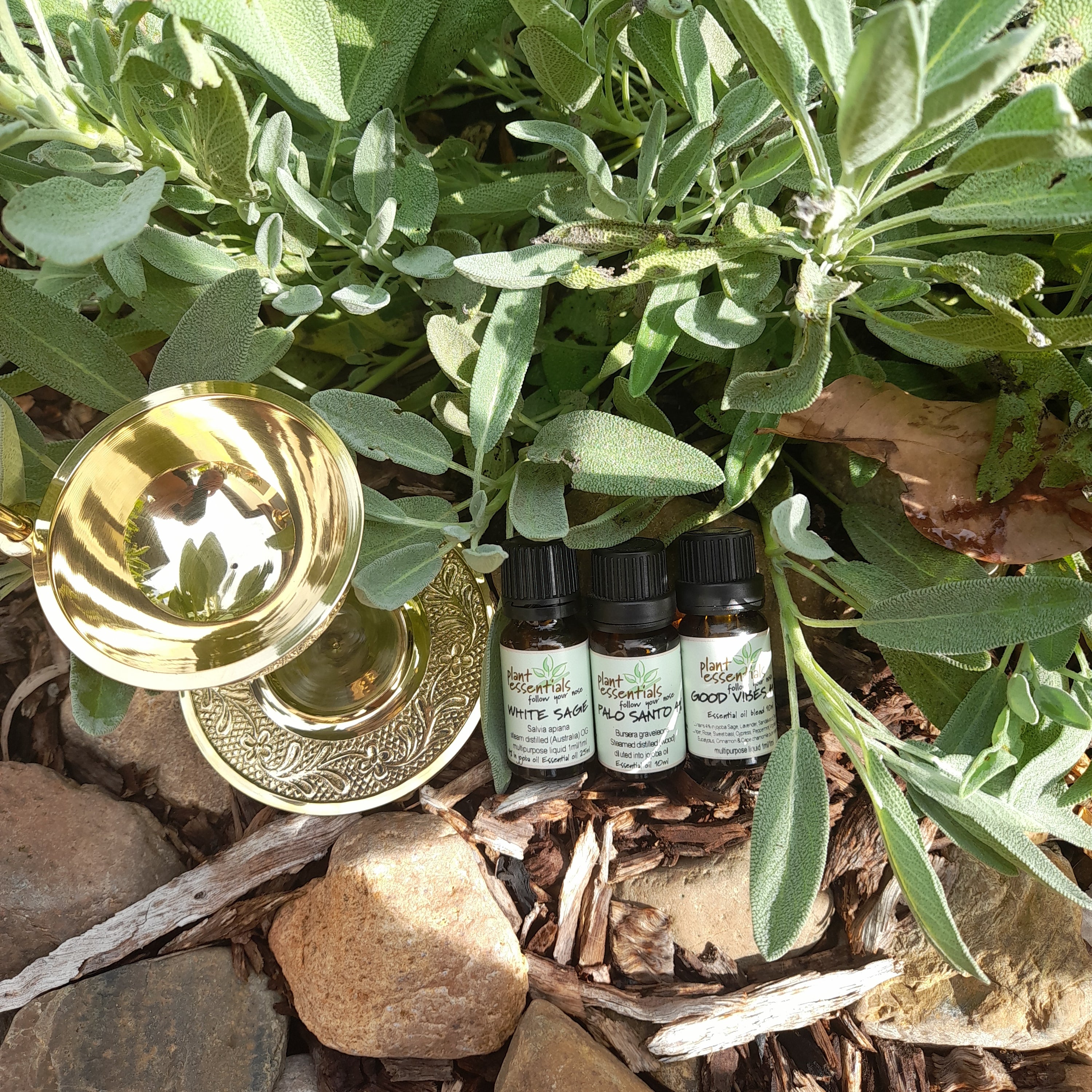 Energy Clear Essential Oil Trio
