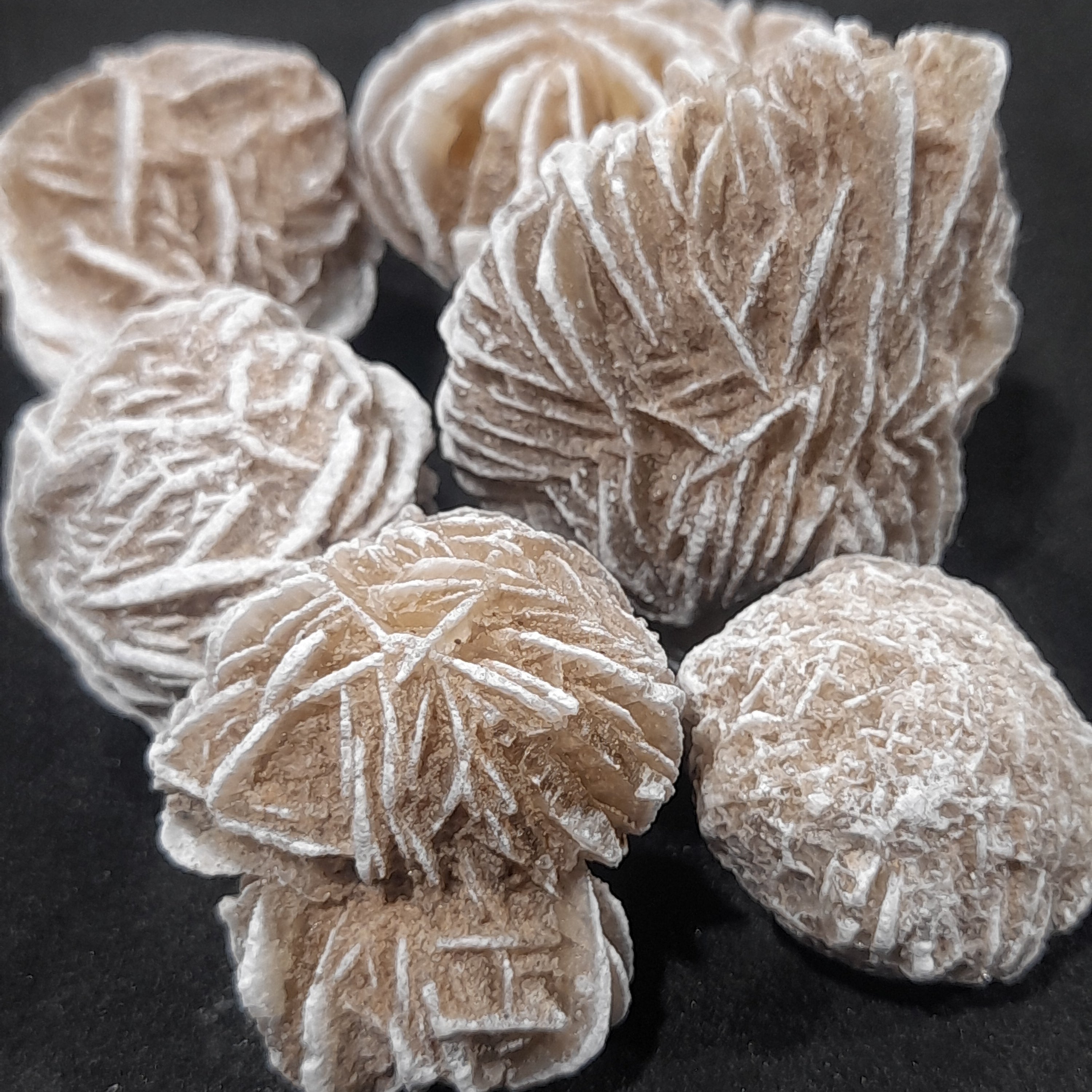 Desert Rose gypsum ~ Natural