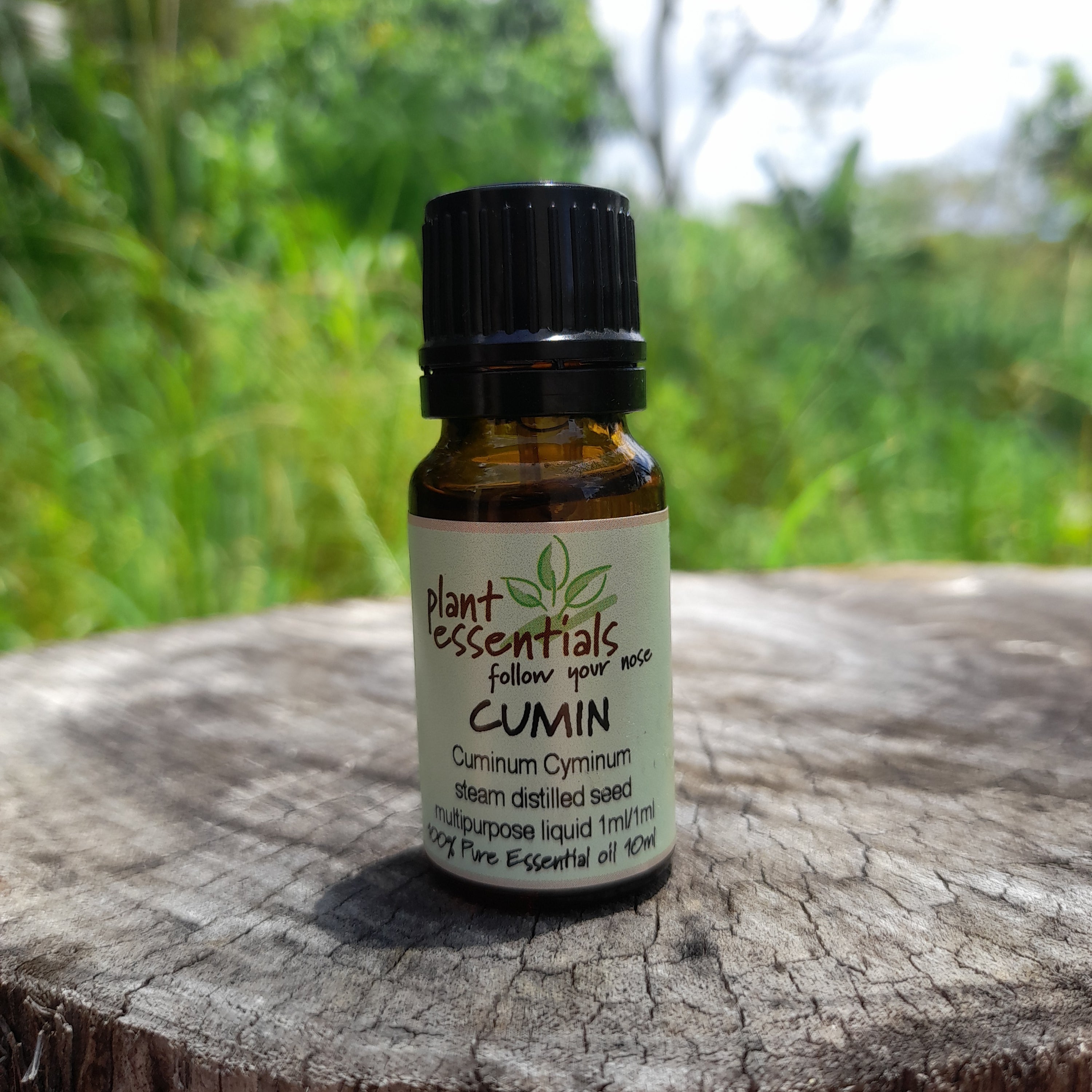 Cumin Essential Oil 10ml