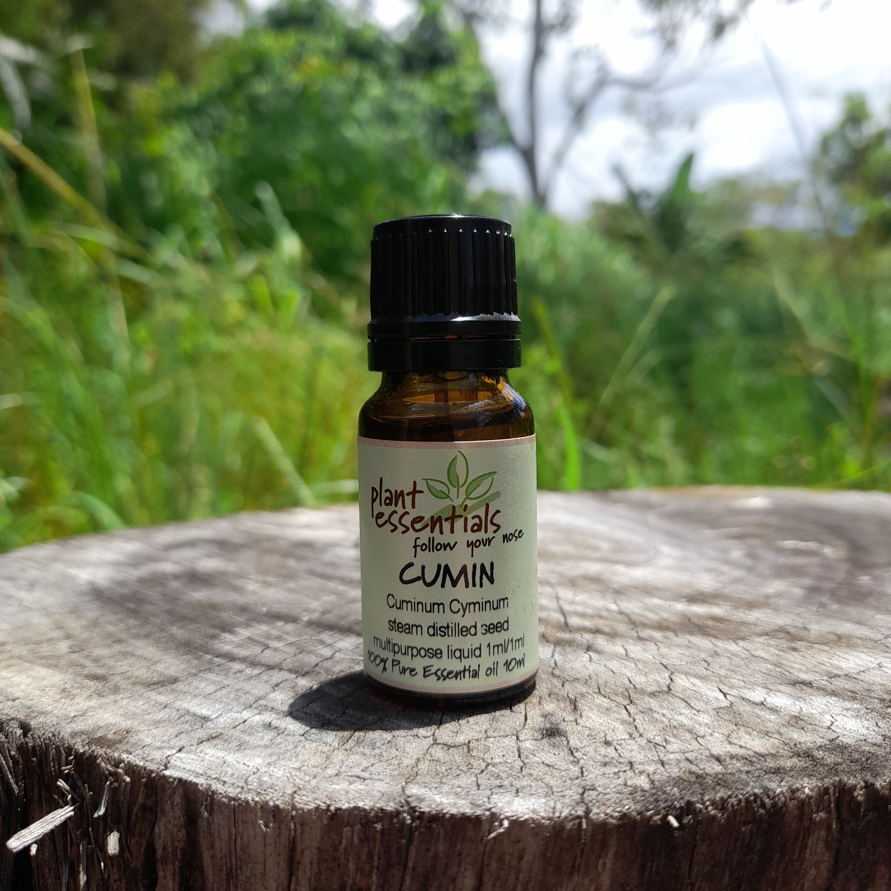 Cumin Essential Oil 10ml