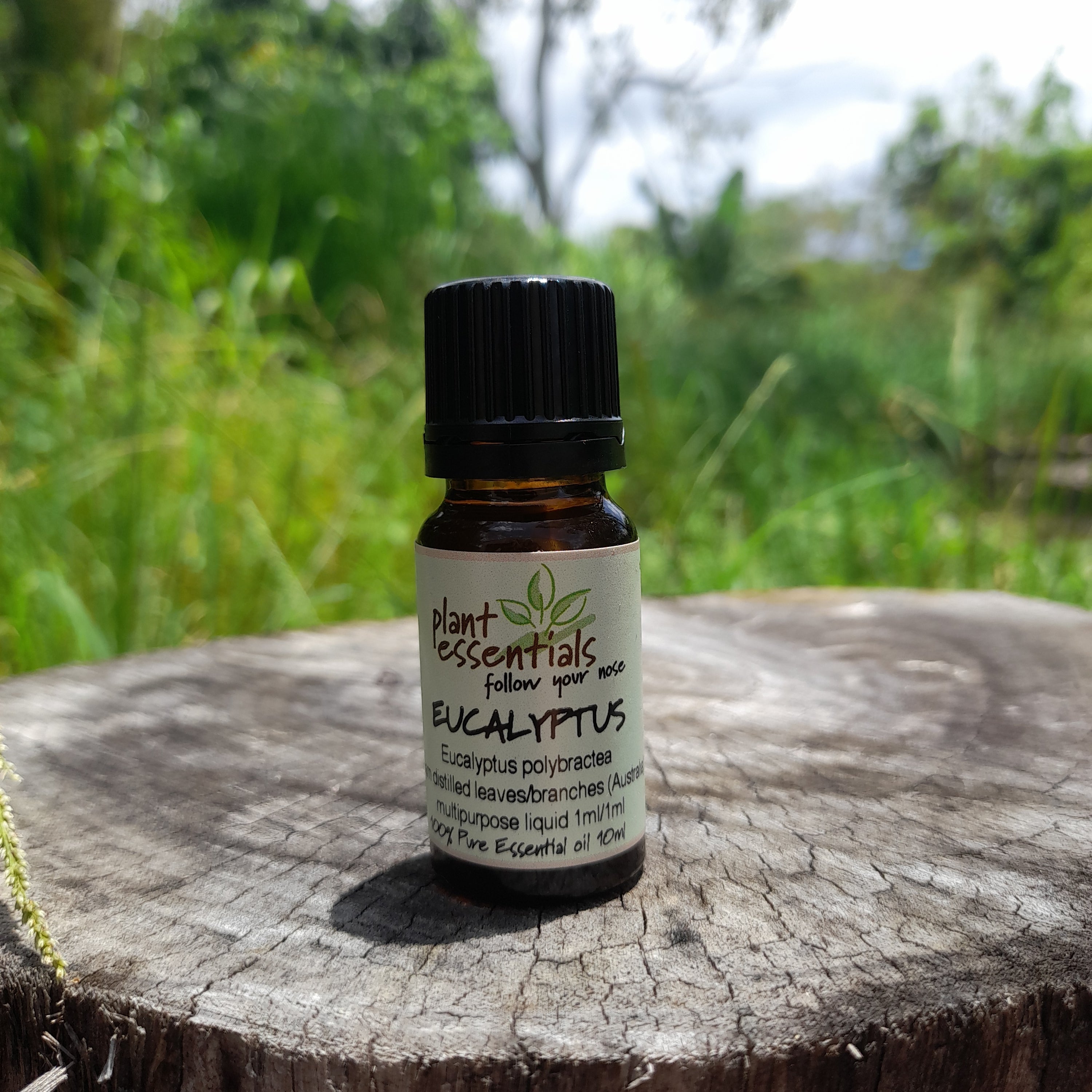 Eucalyptus Blue Mallee Essential Oil
