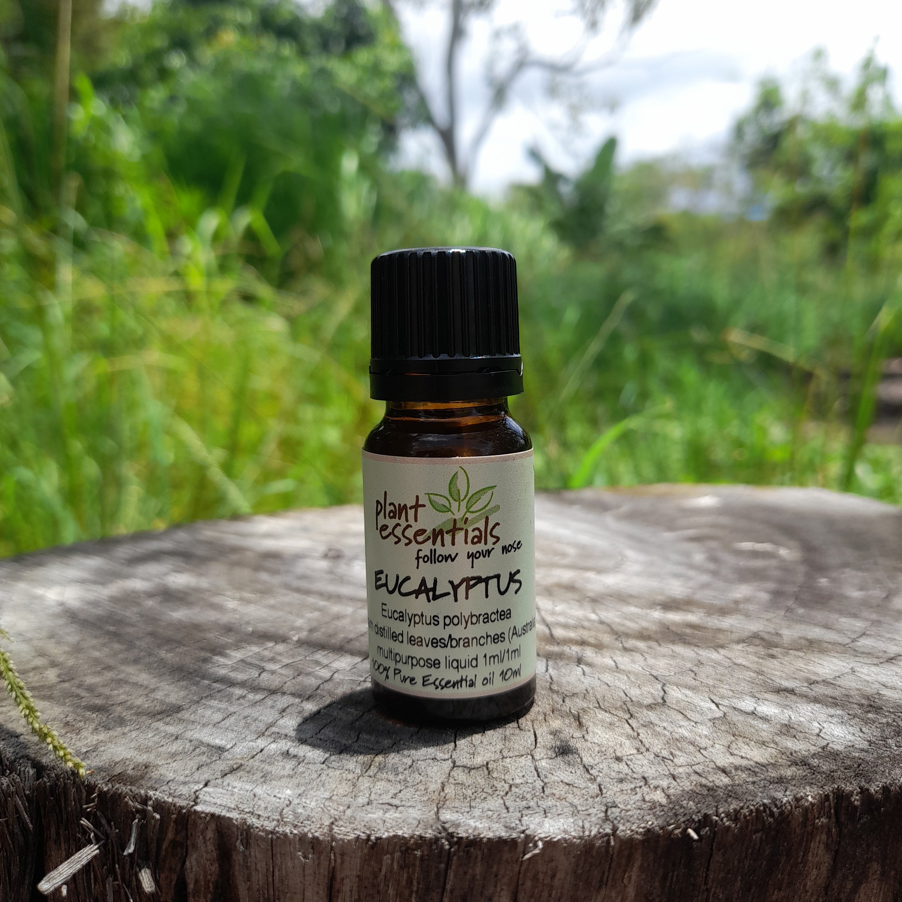 Eucalyptus Blue Mallee Essential Oil