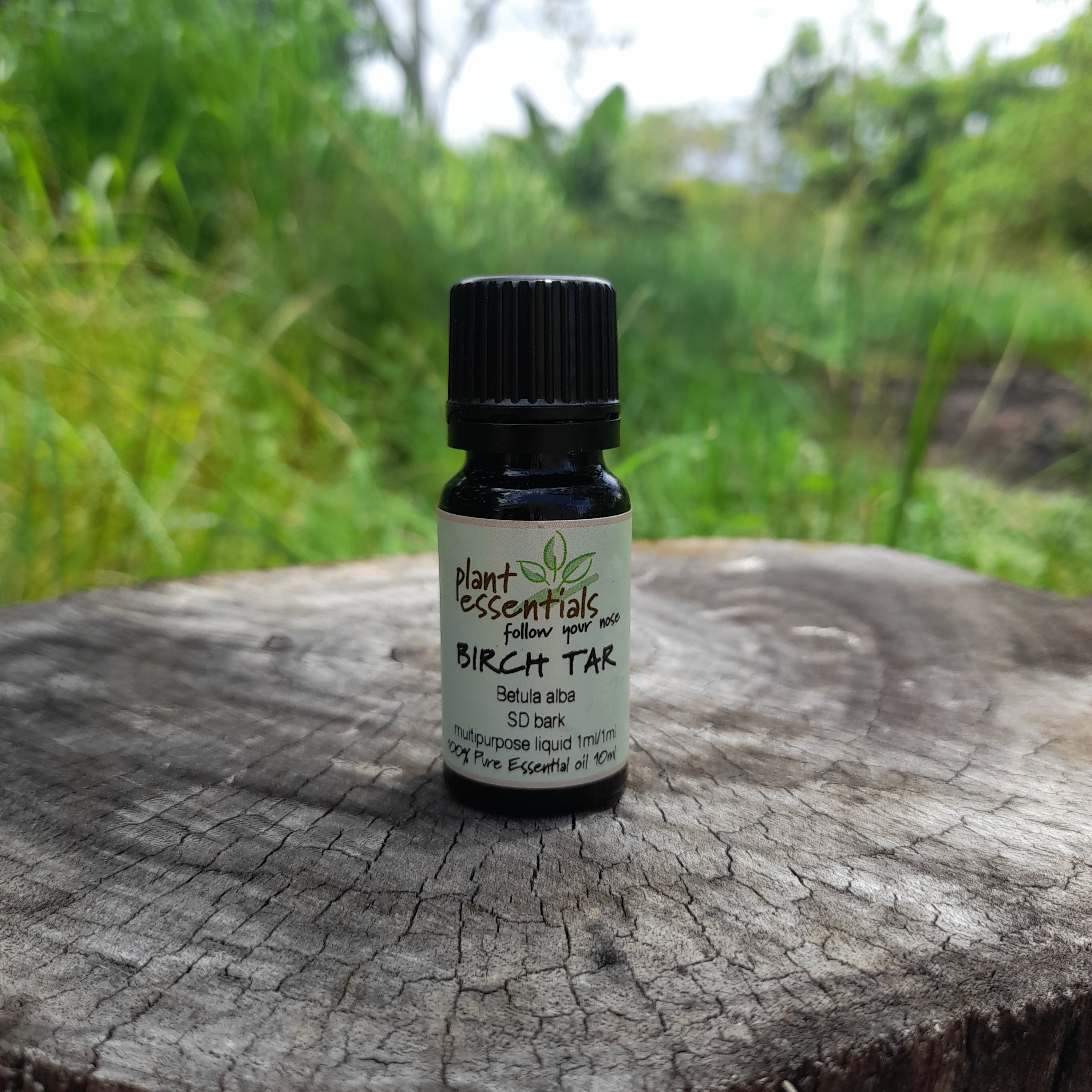 Birch Tar Essential Oil 10ml