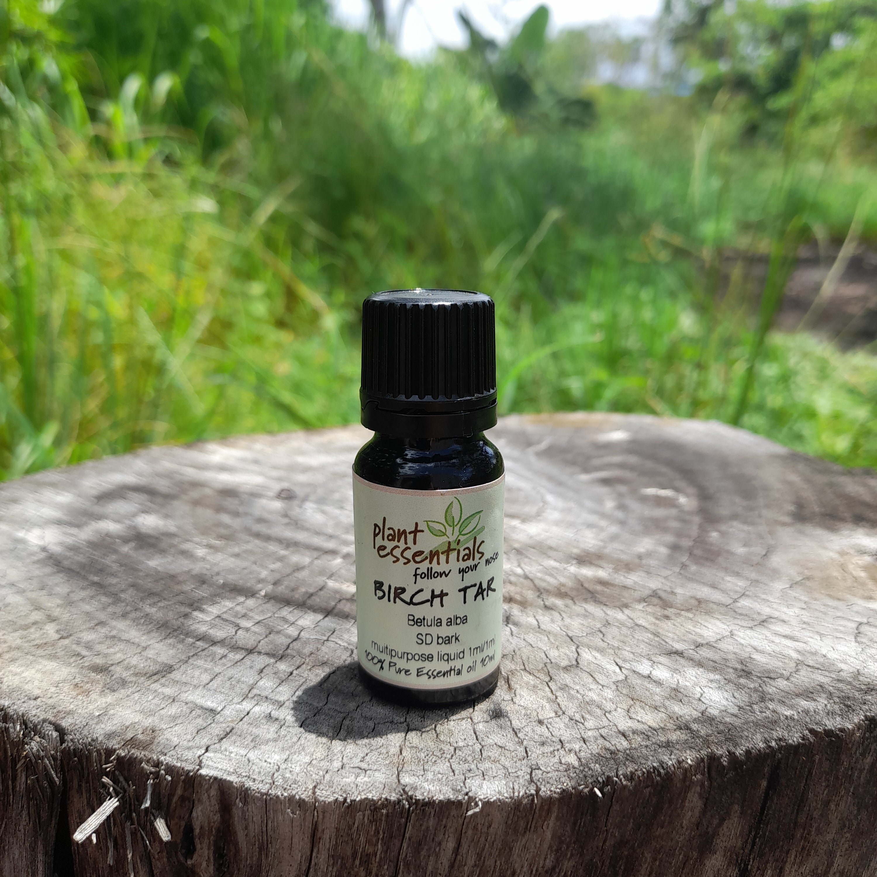 Birch Tar Essential Oil 10ml