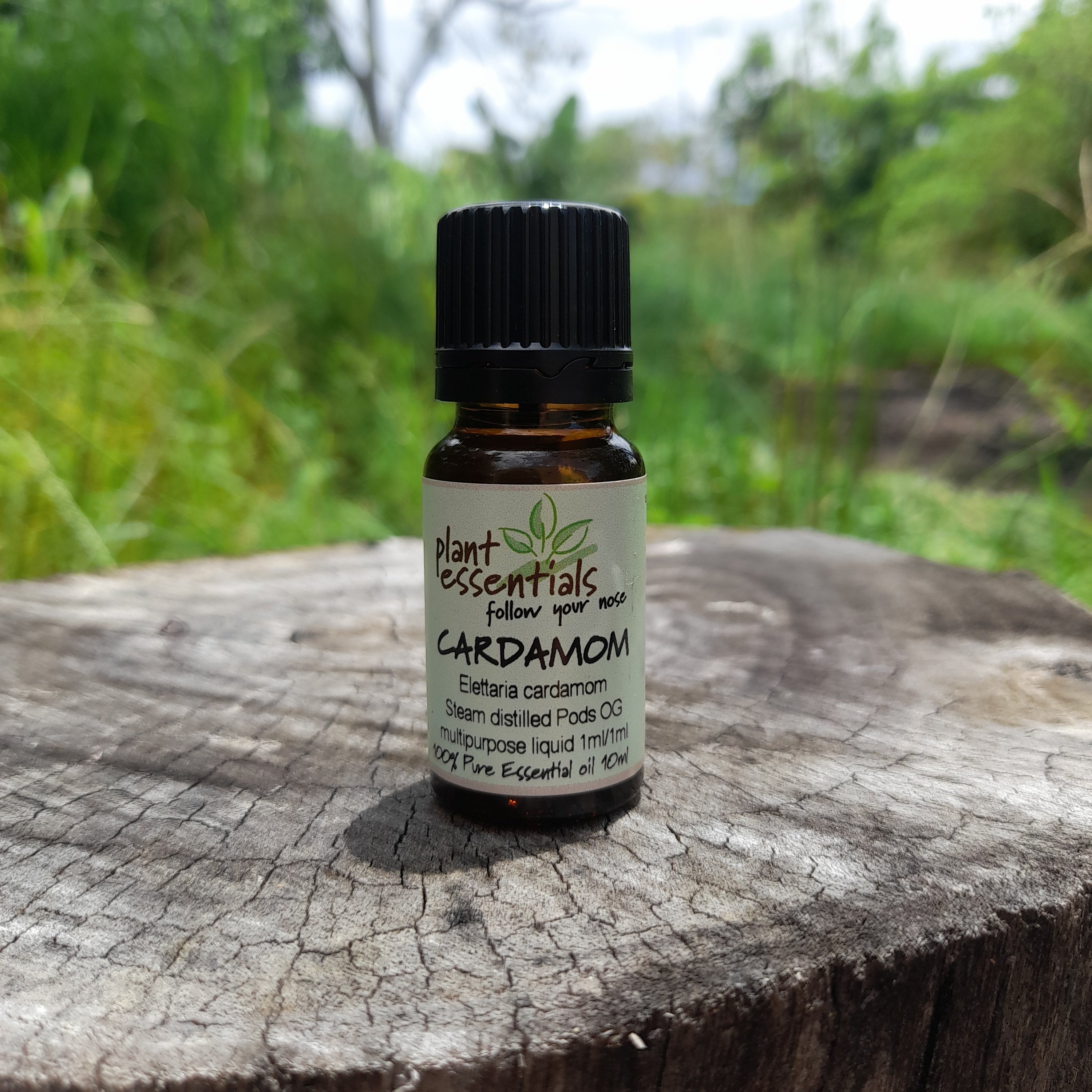 Cardamom Essential Oil 10ml