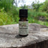 Cardamom Essential Oil 10ml