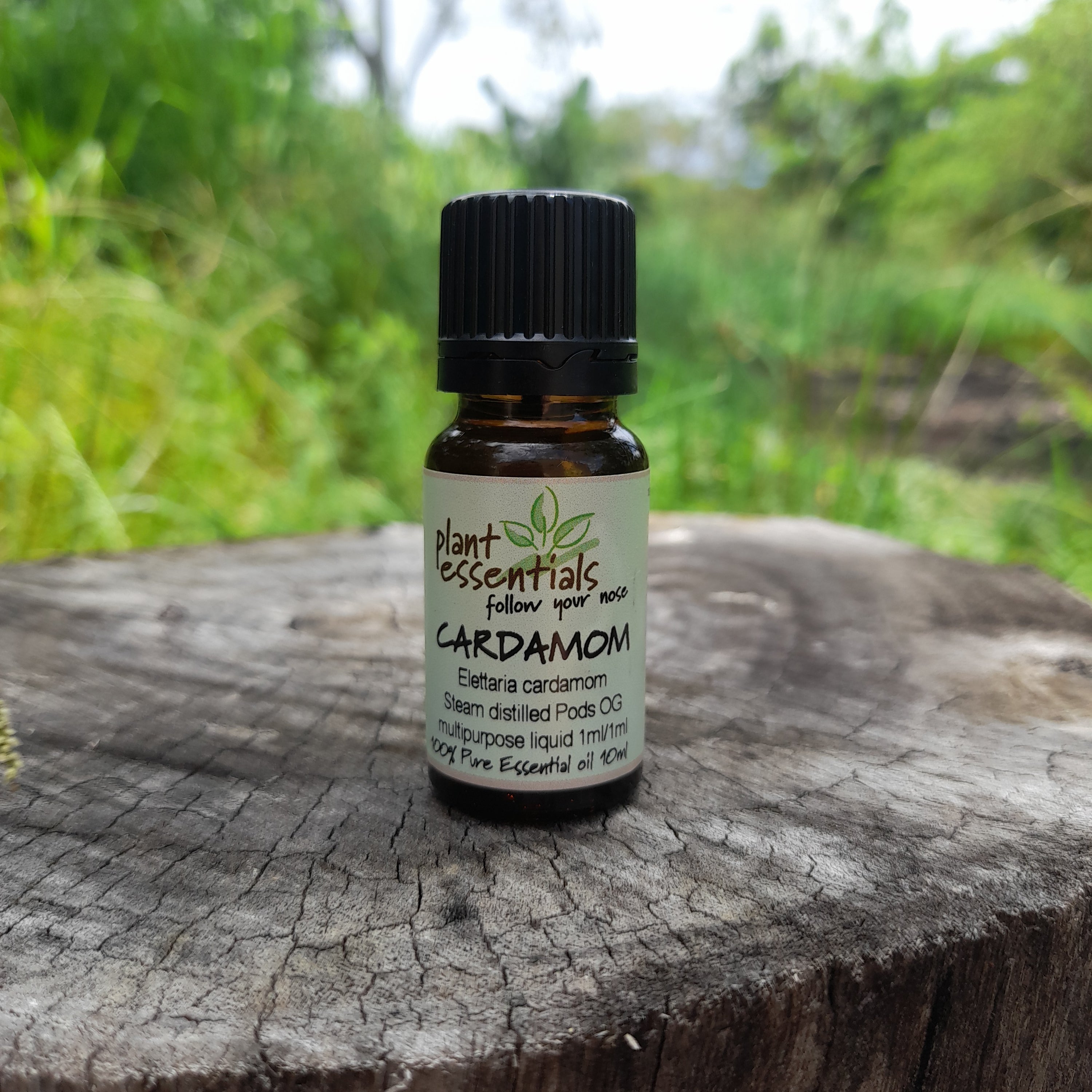 Cardamom Essential Oil 10ml