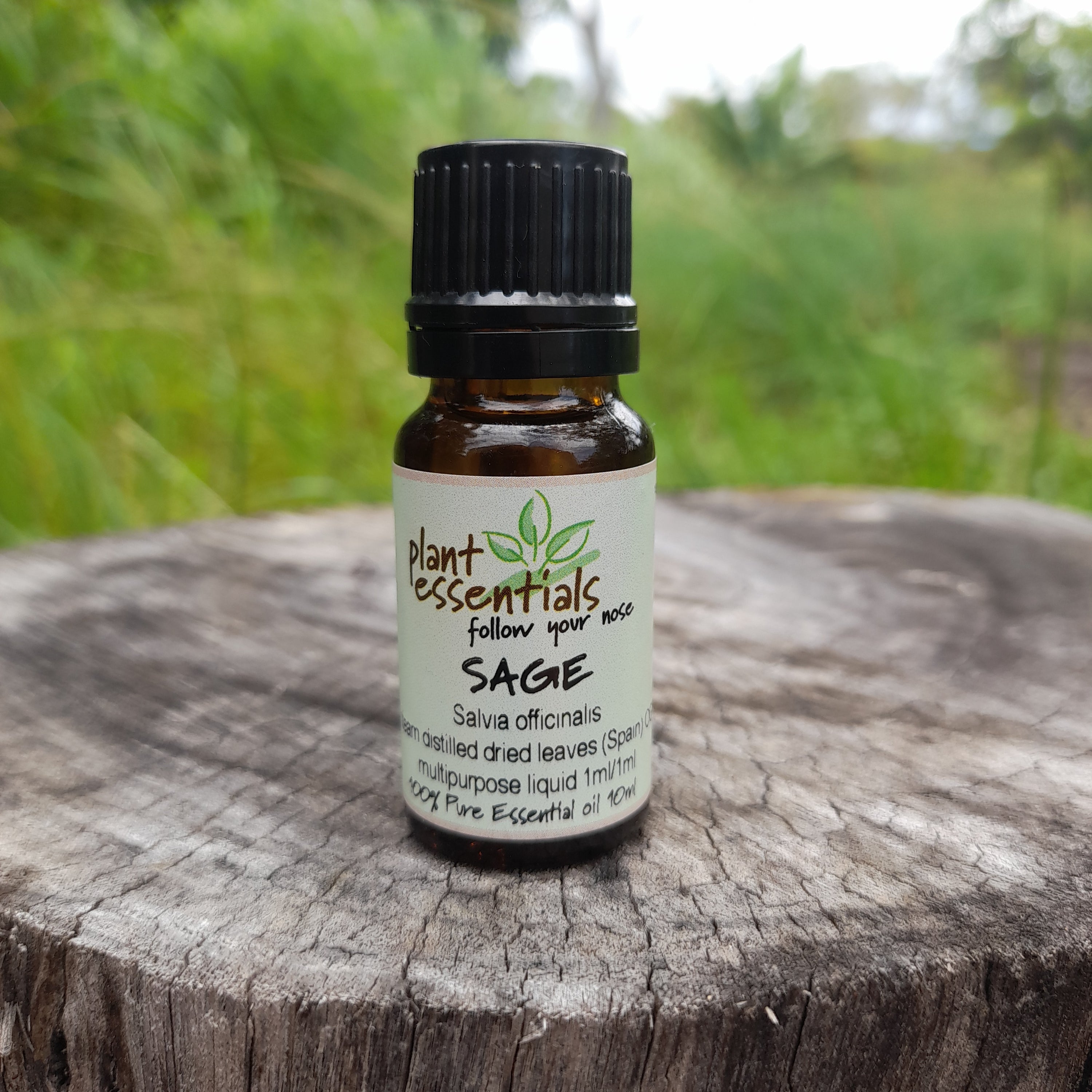 Sage Essential Oil