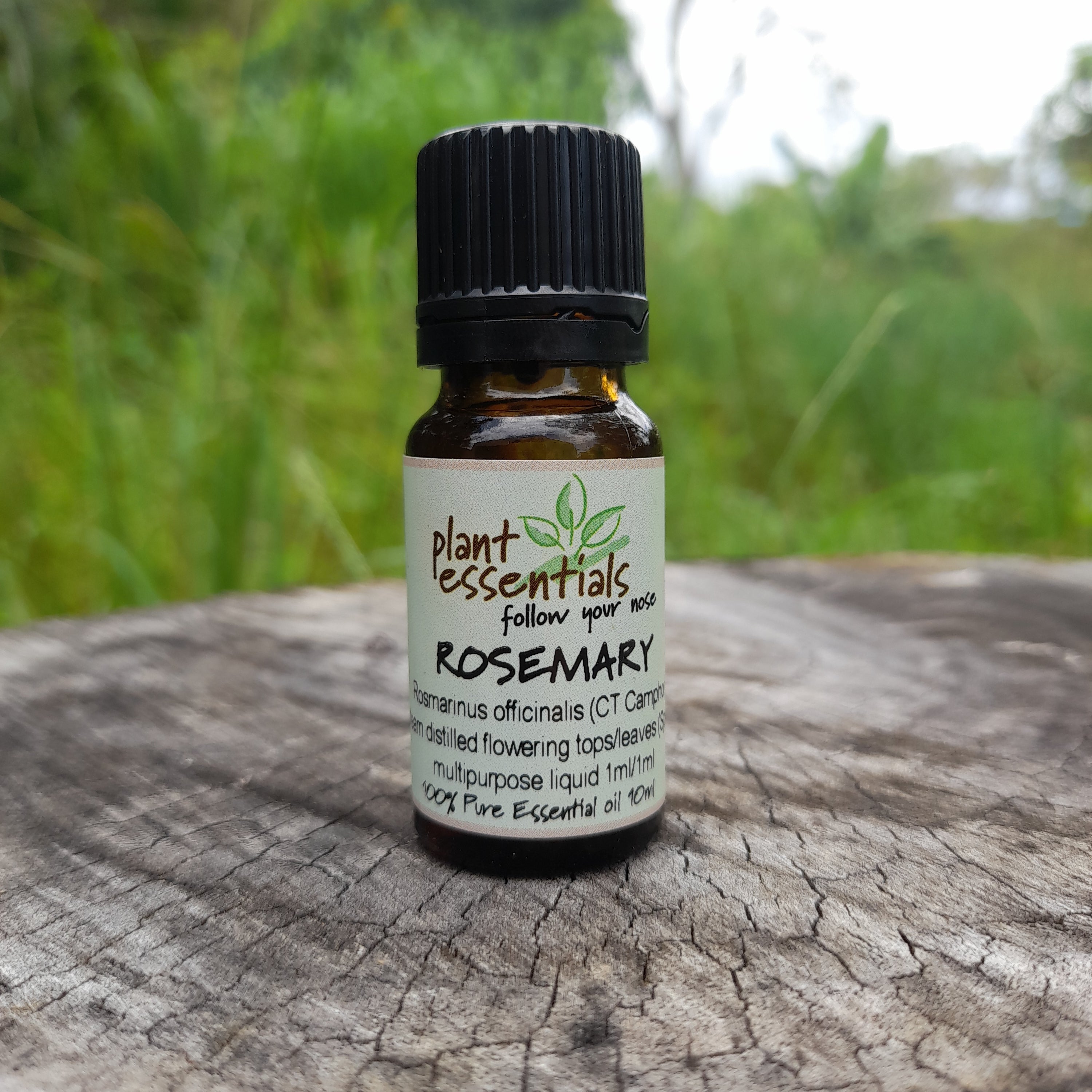 Rosemary essential oil