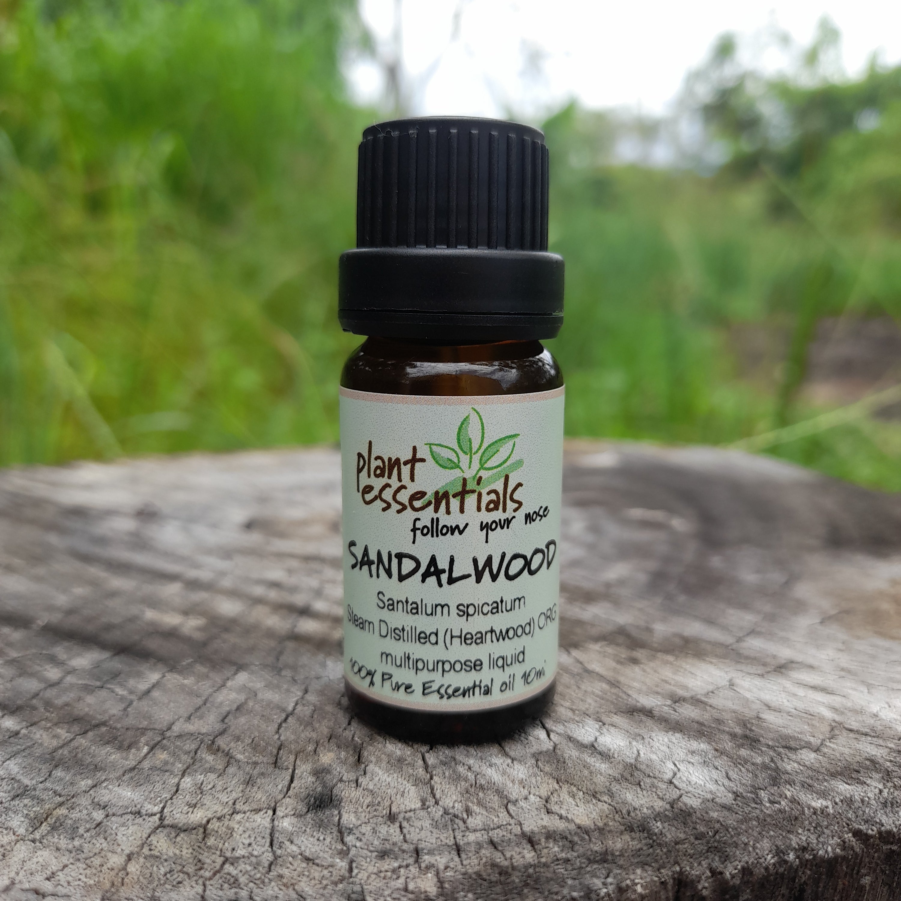 Sandalwood Essential Oil