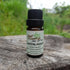 Sandalwood Essential Oil