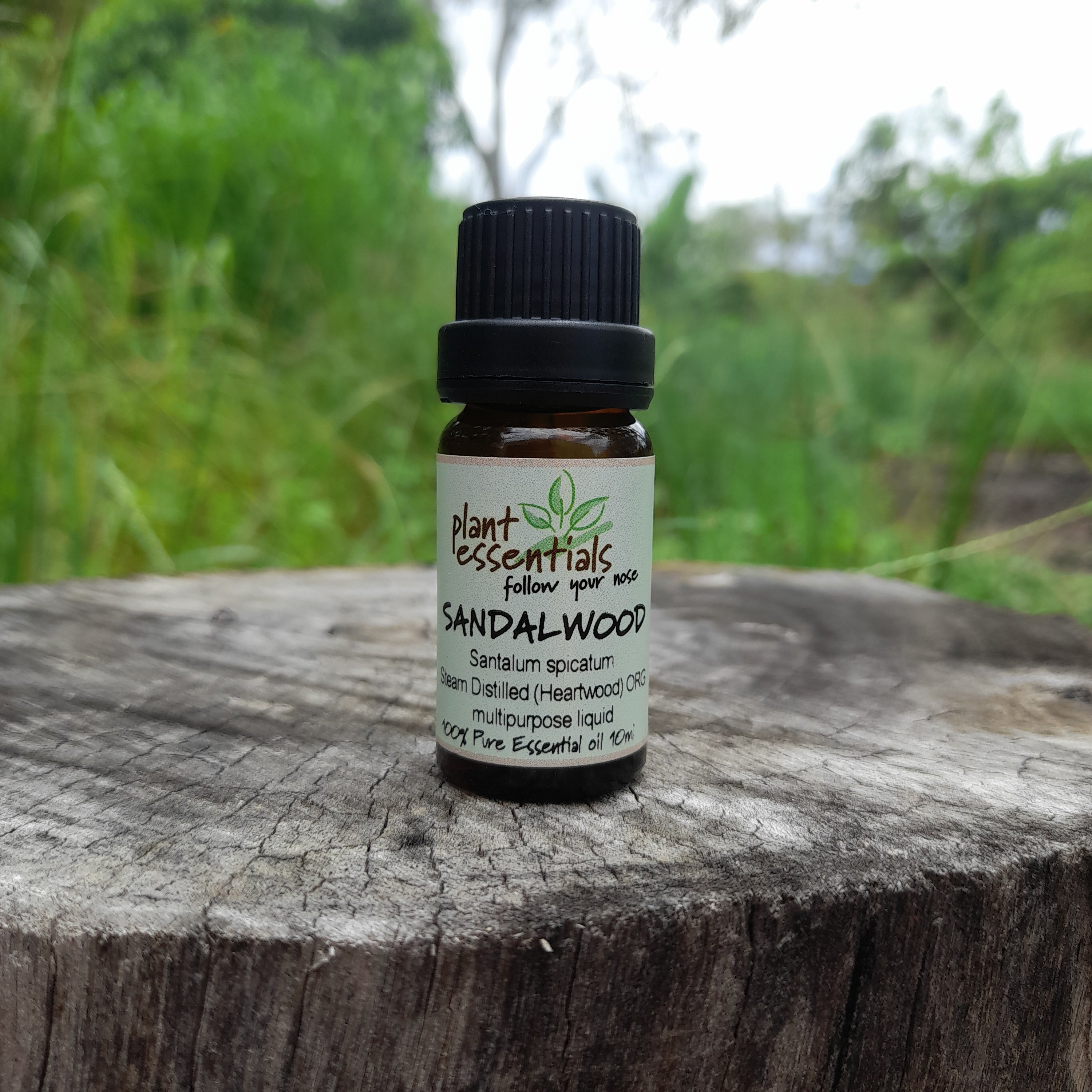 Sandalwood Essential Oil