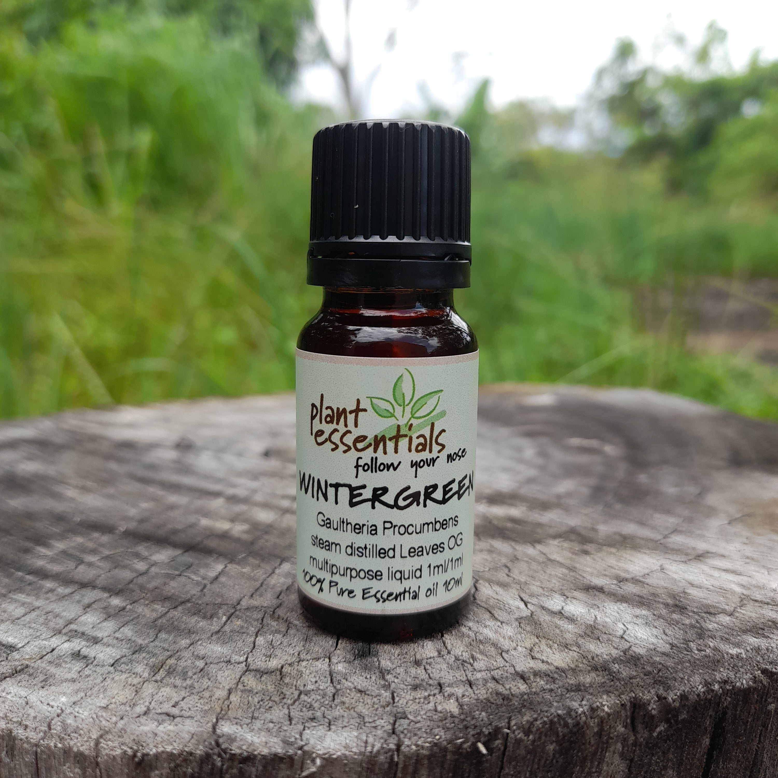 Wintergreen Essential Oil