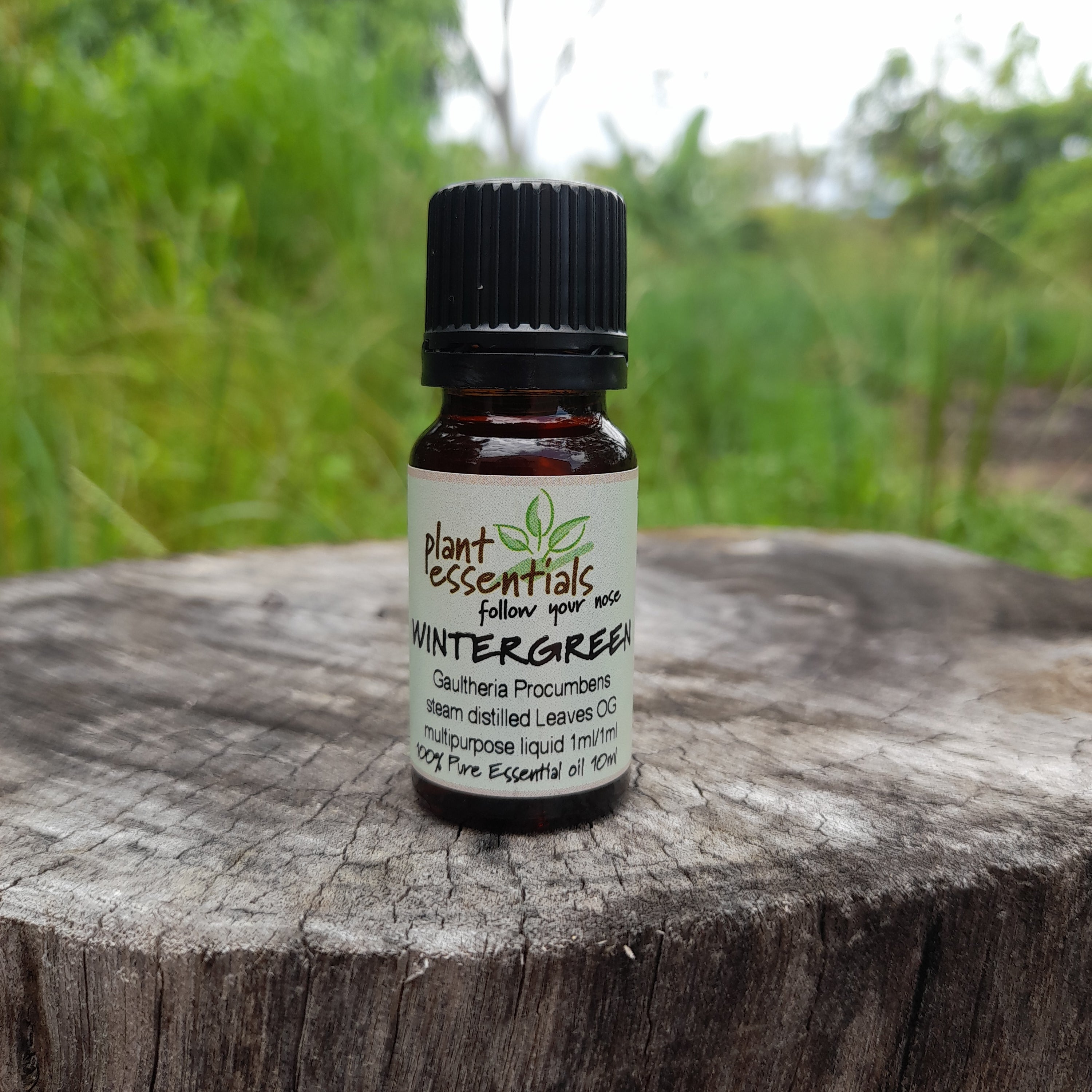 Wintergreen Essential Oil