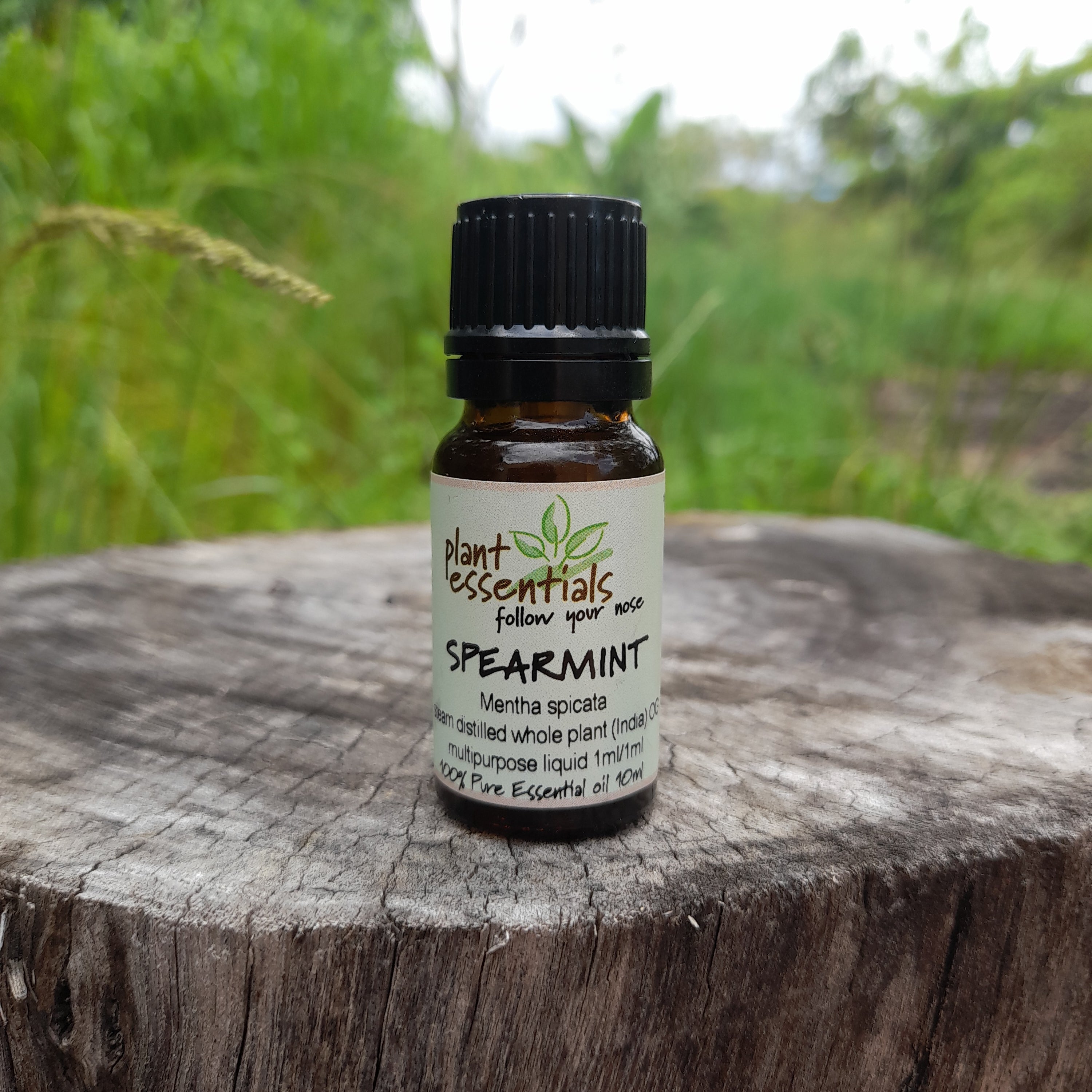Spearmint Essential Oil 10ml