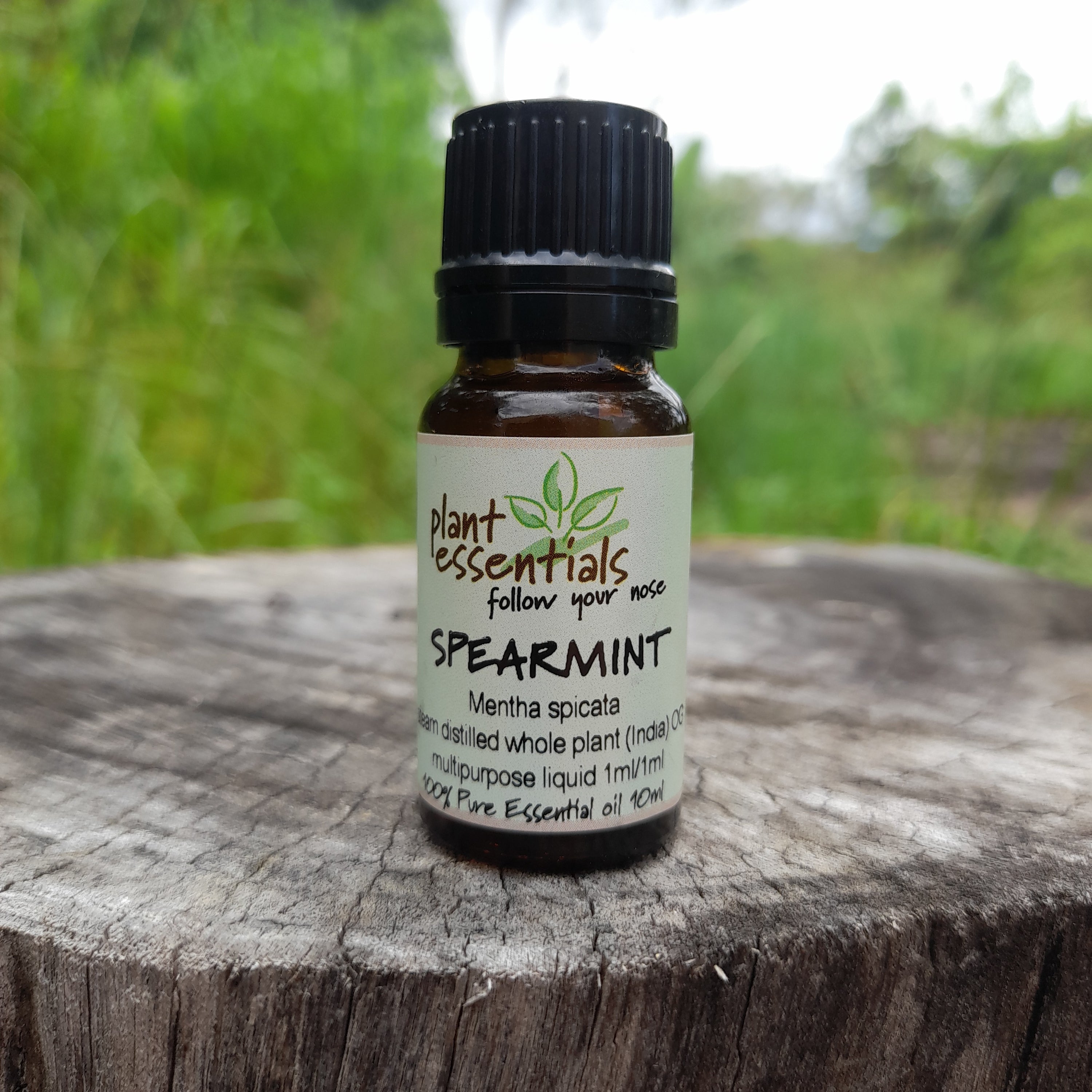 Spearmint Essential Oil 10ml