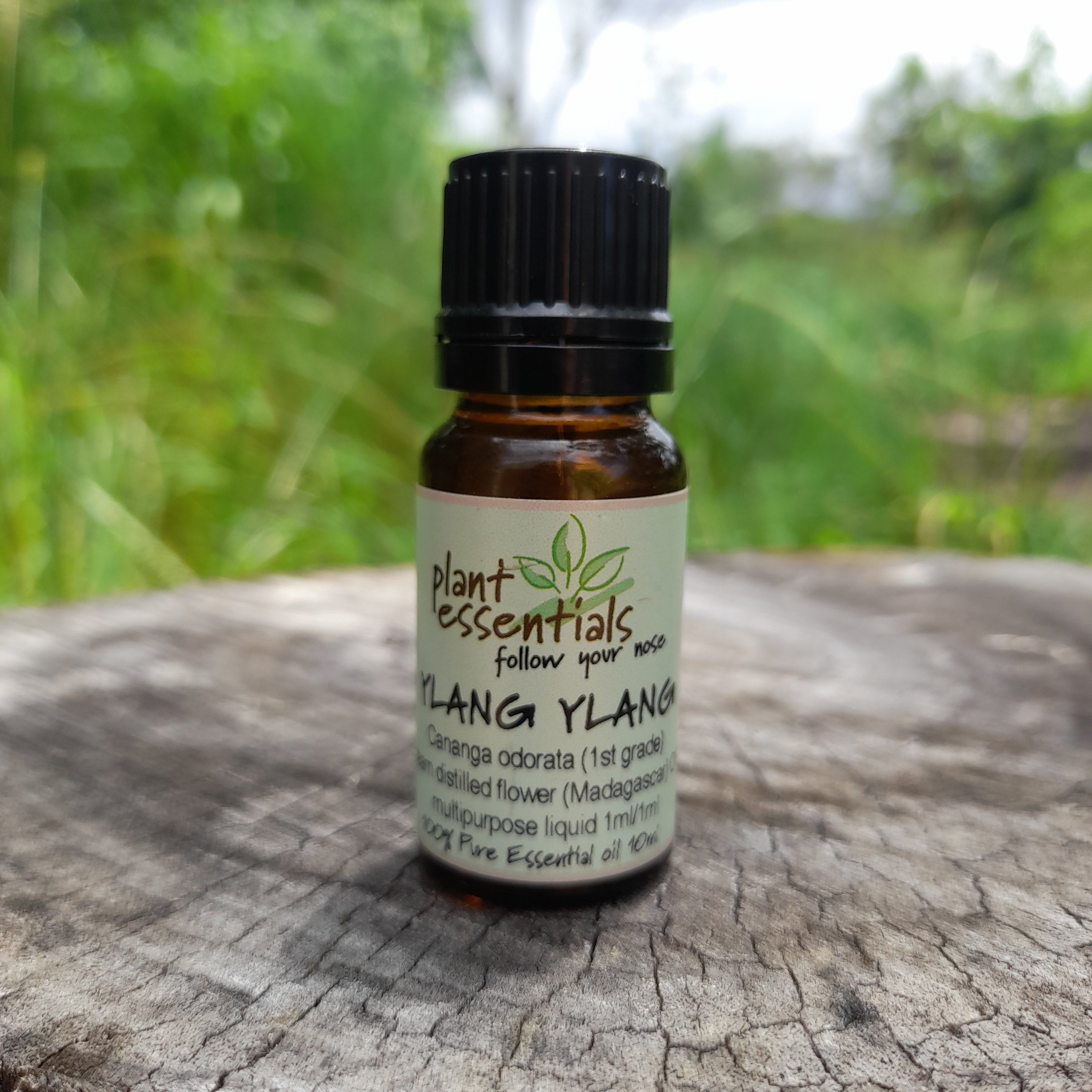 Ylang Ylang Essential Oil