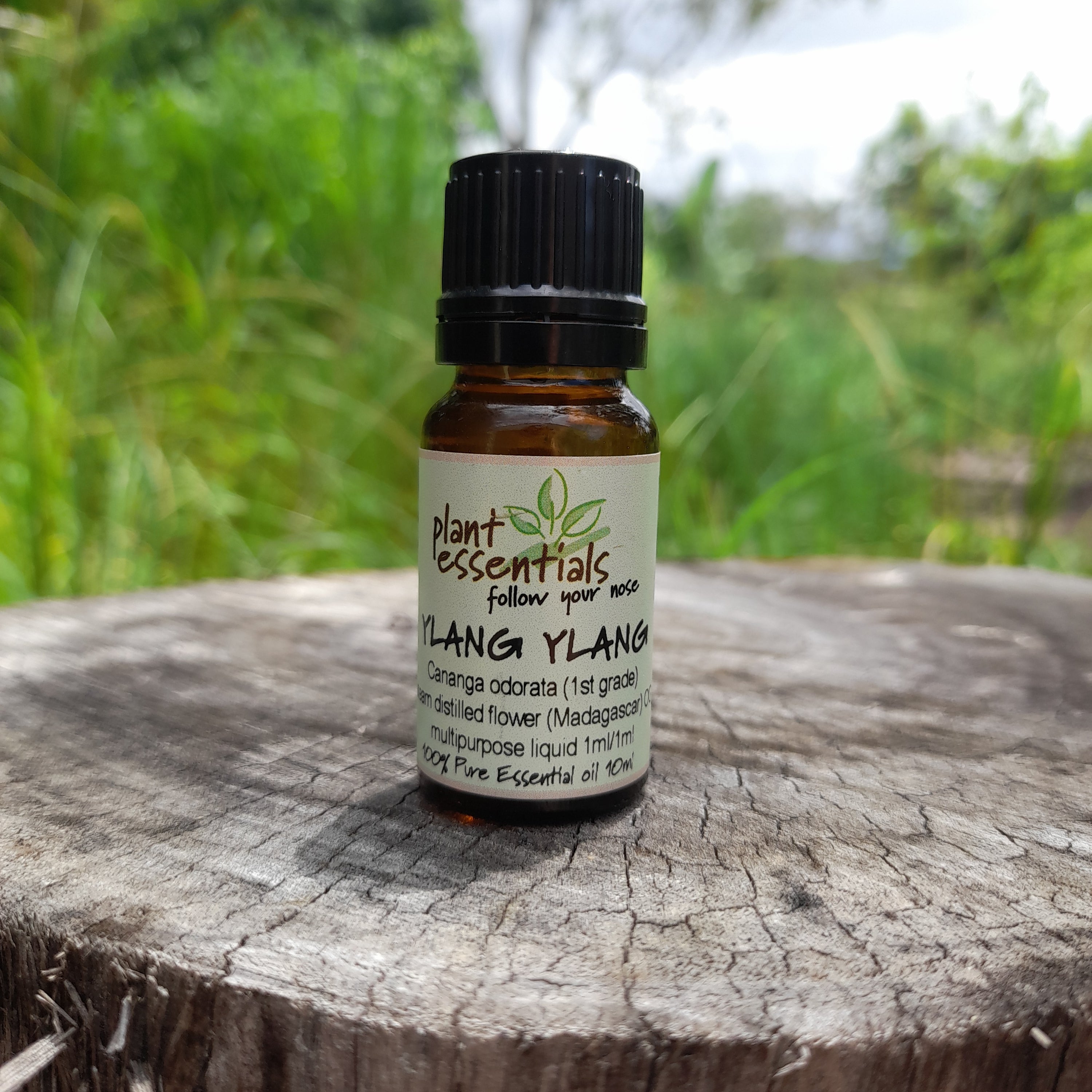 Ylang Ylang Essential Oil