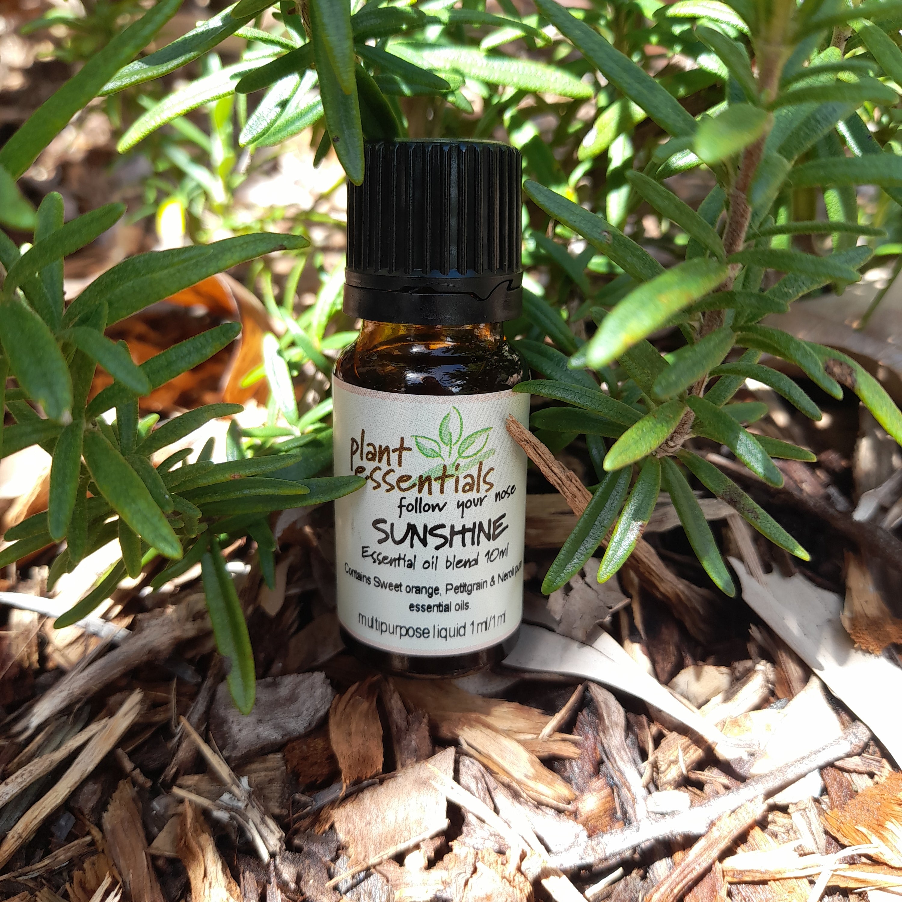Sunshine Essential Oil Blend