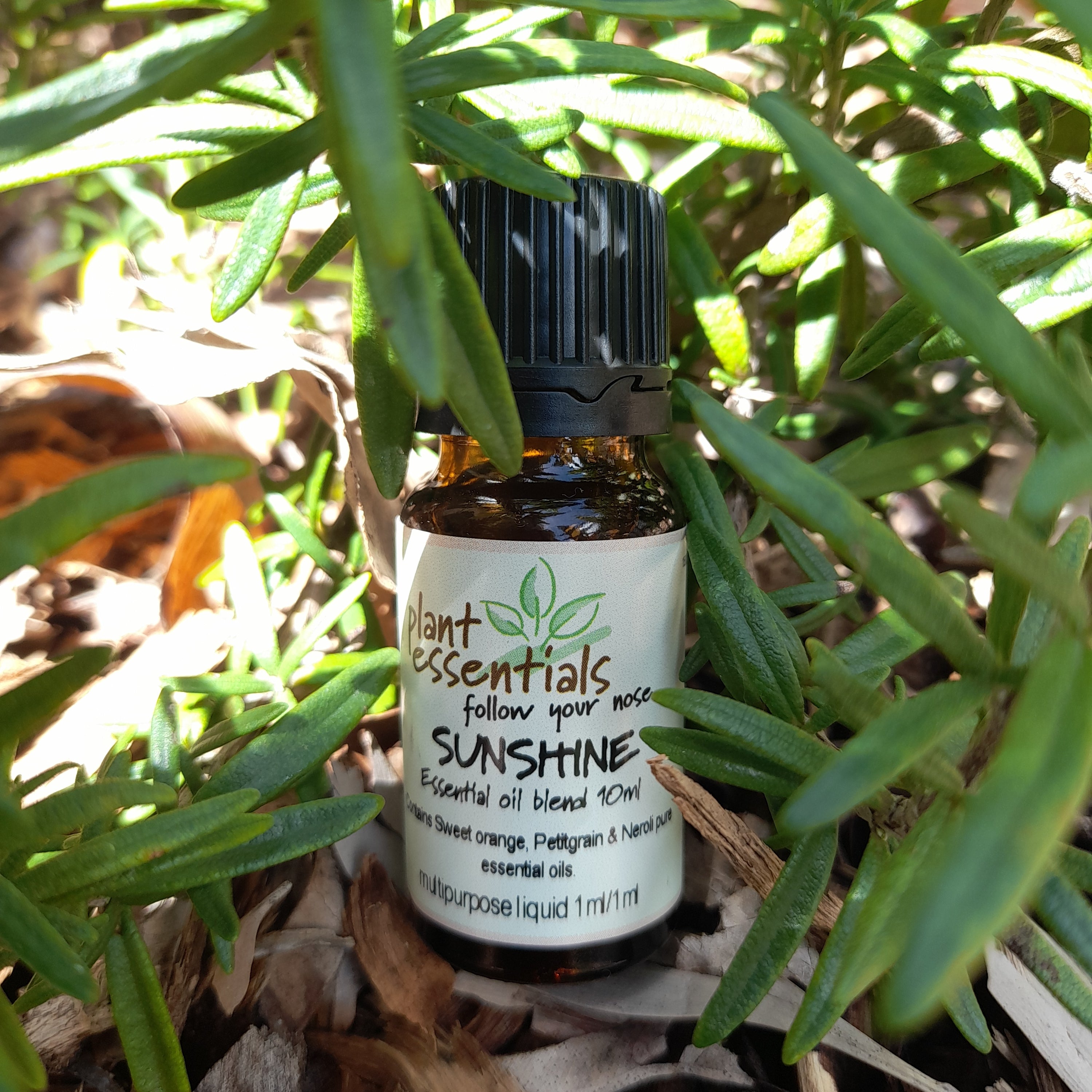 Sunshine Essential Oil Blend