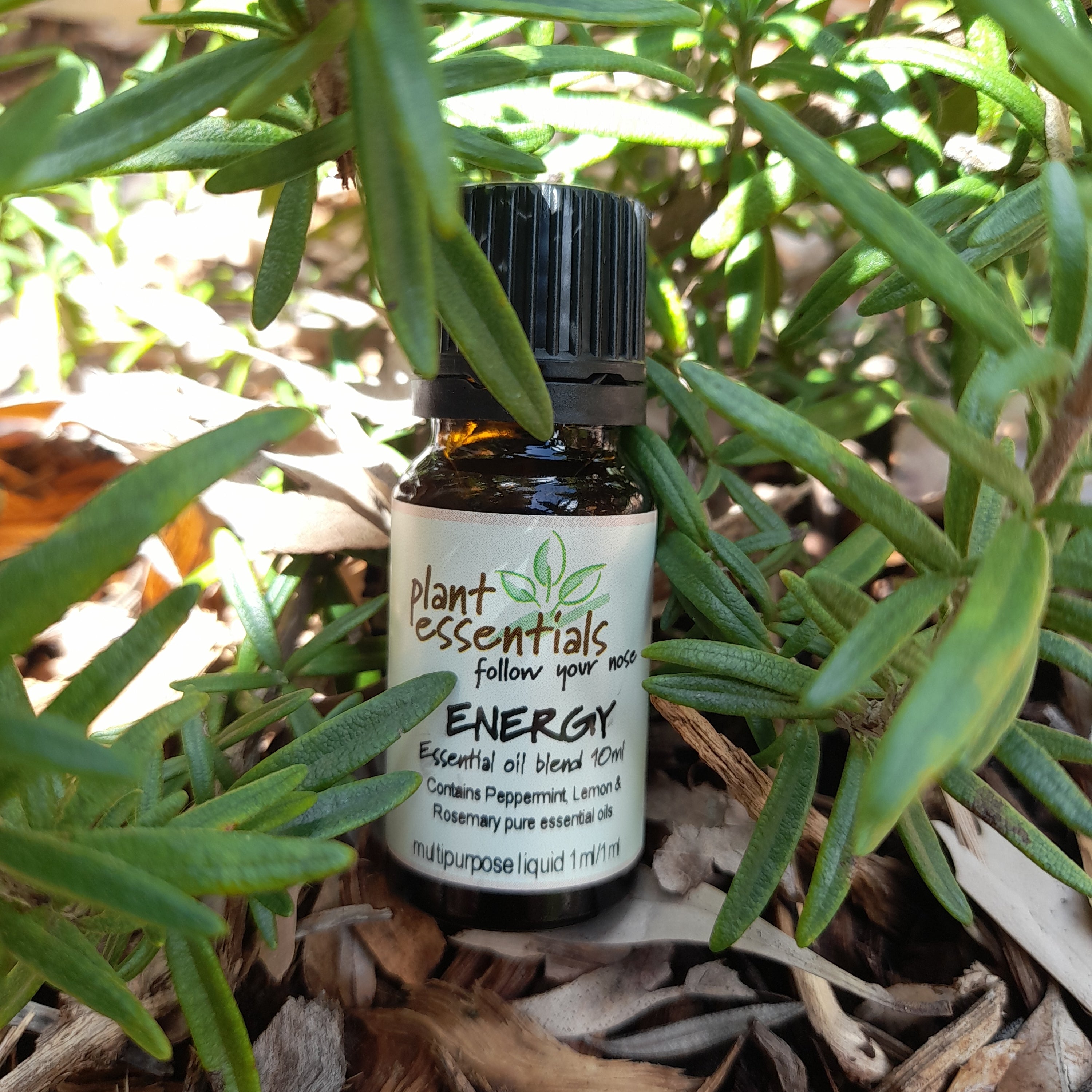 Energy Essential Oil Blend